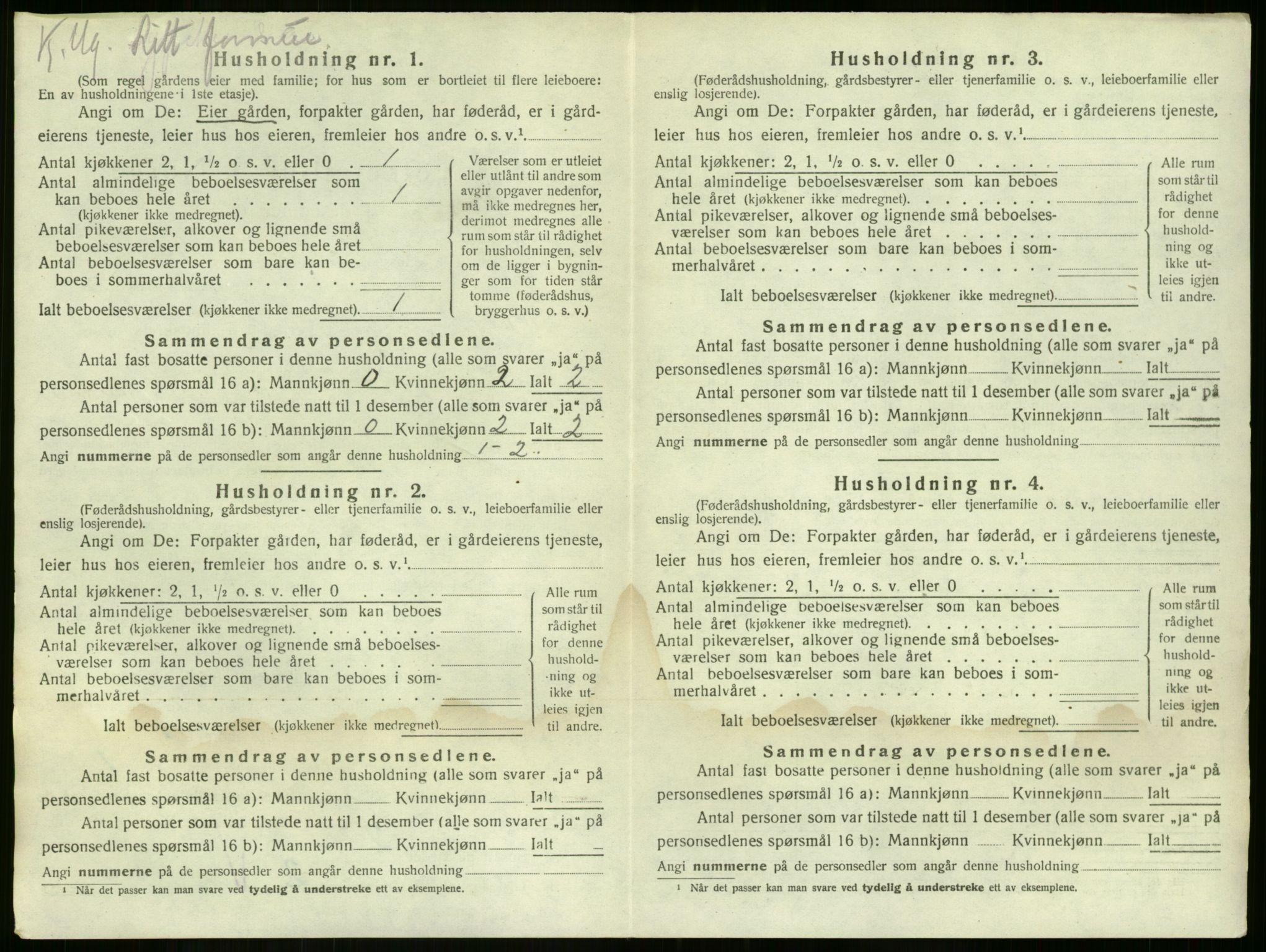 SAKO, 1920 census for Nøtterøy, 1920, p. 1690