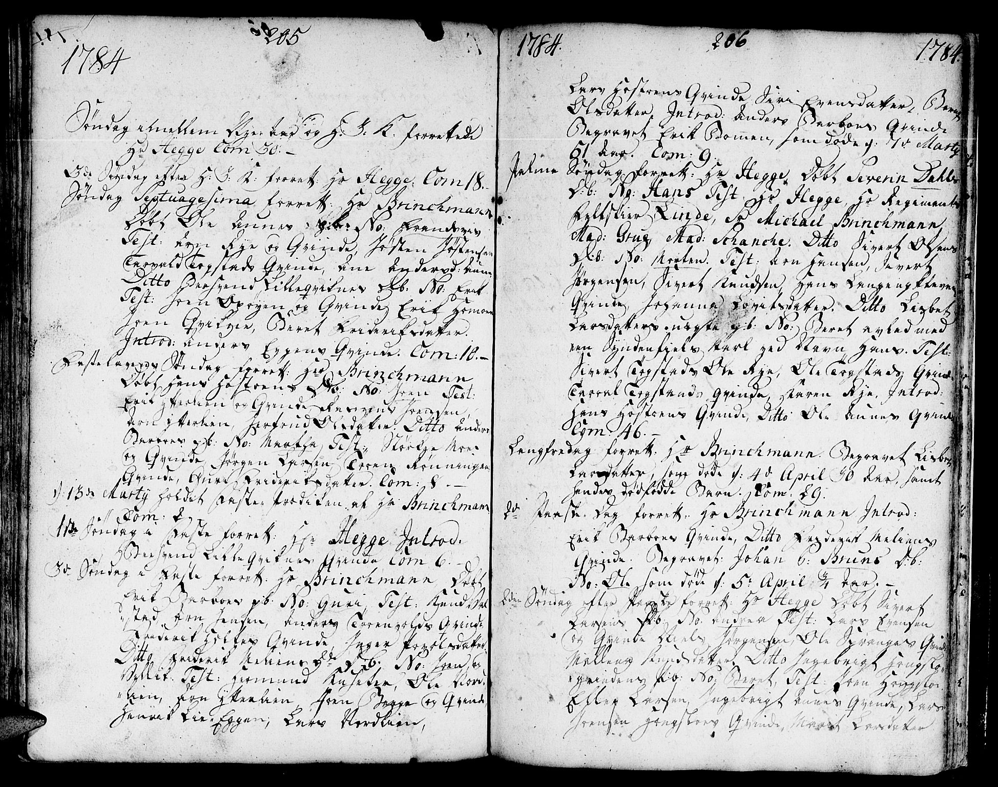 Ministerialprotokoller, klokkerbøker og fødselsregistre - Sør-Trøndelag, SAT/A-1456/671/L0840: Parish register (official) no. 671A02, 1756-1794, p. 305-306