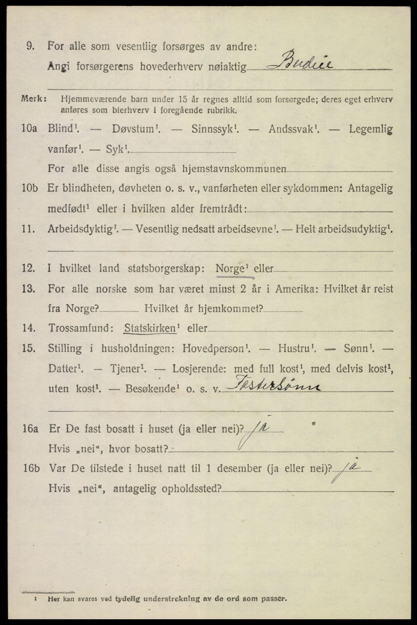 SAH, 1920 census for Vang (Hedmark), 1920, p. 17452