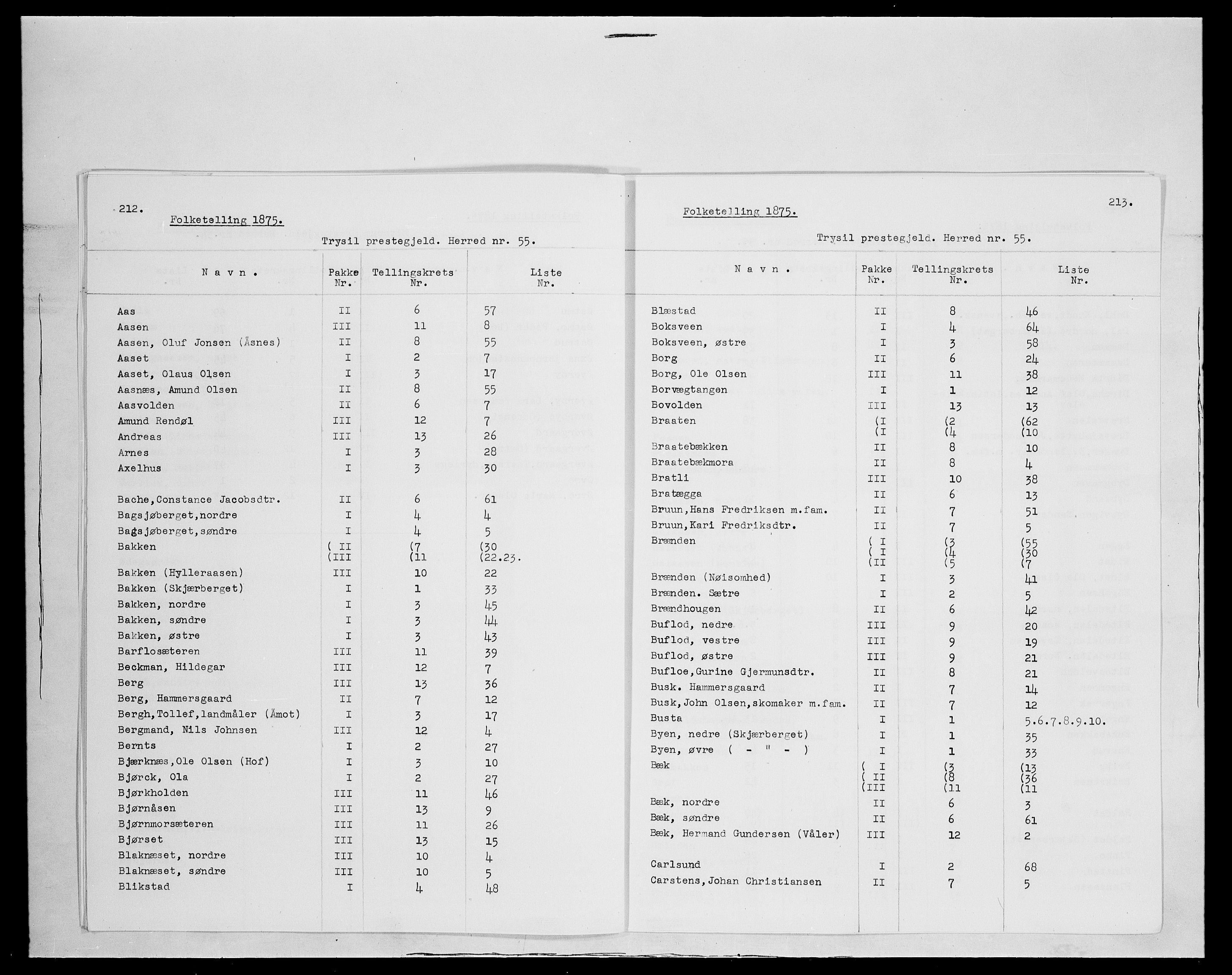 SAH, 1875 census for 0428P Trysil, 1875, p. 1