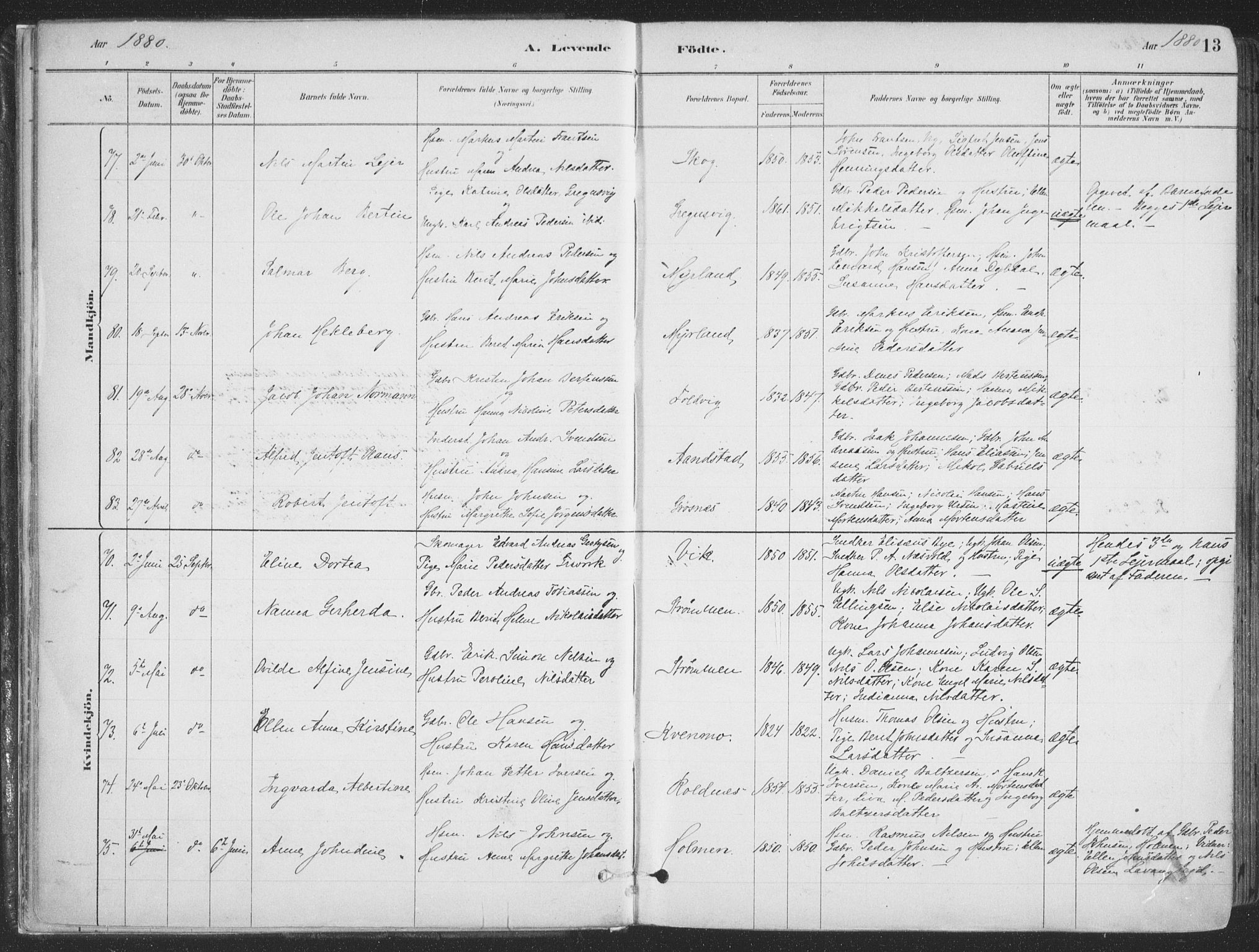 Ibestad sokneprestembete, AV/SATØ-S-0077/H/Ha/Haa/L0011kirke: Parish register (official) no. 11, 1880-1889, p. 13