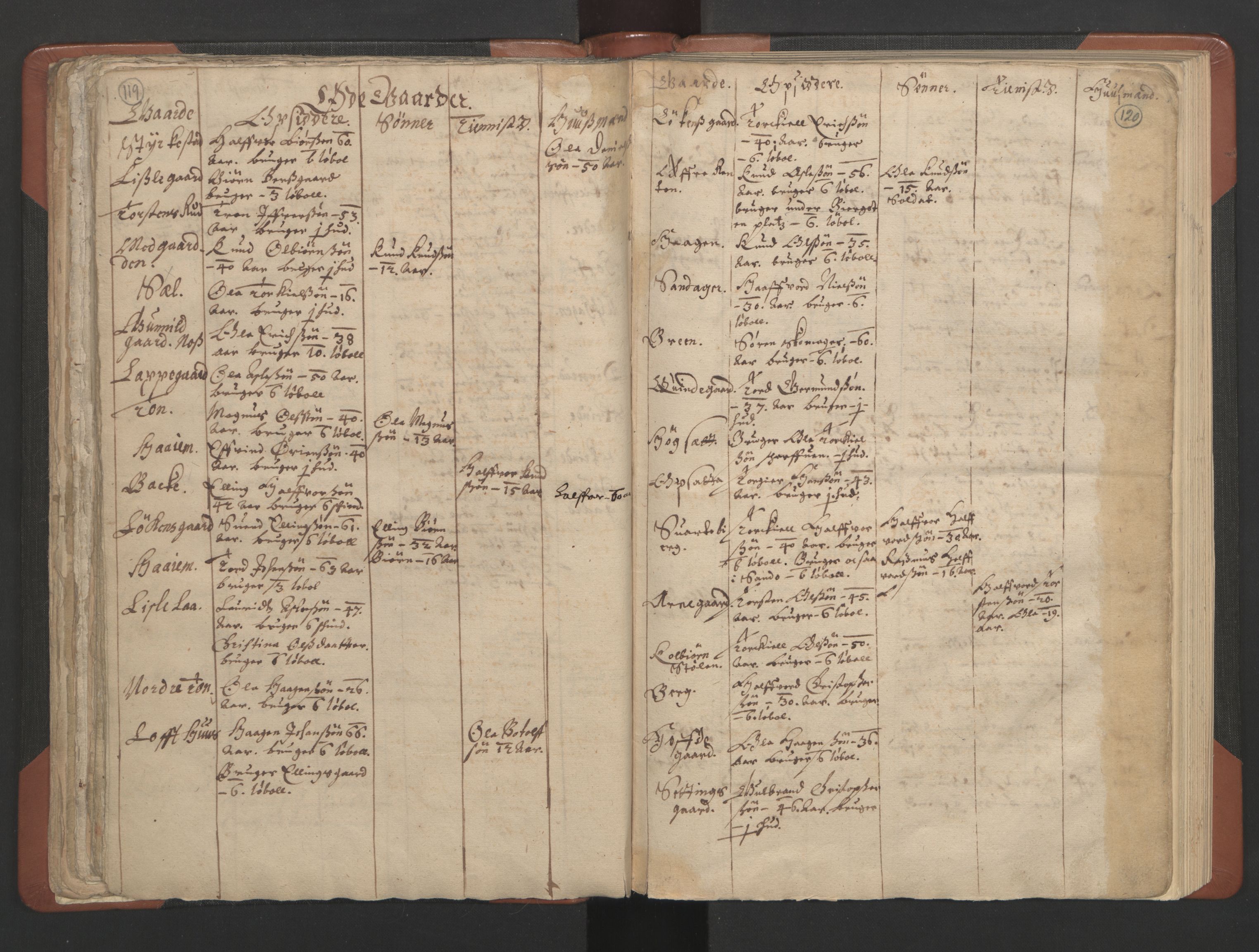 RA, Vicar's Census 1664-1666, no. 8: Valdres deanery, 1664-1666, p. 119-120