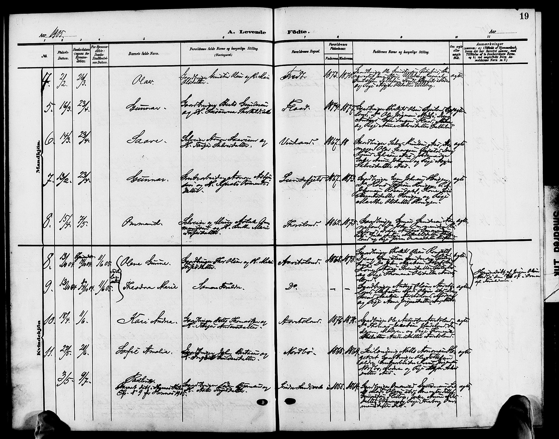 Evje sokneprestkontor, AV/SAK-1111-0008/F/Fb/Fba/L0004: Parish register (copy) no. B 4, 1899-1914, p. 19