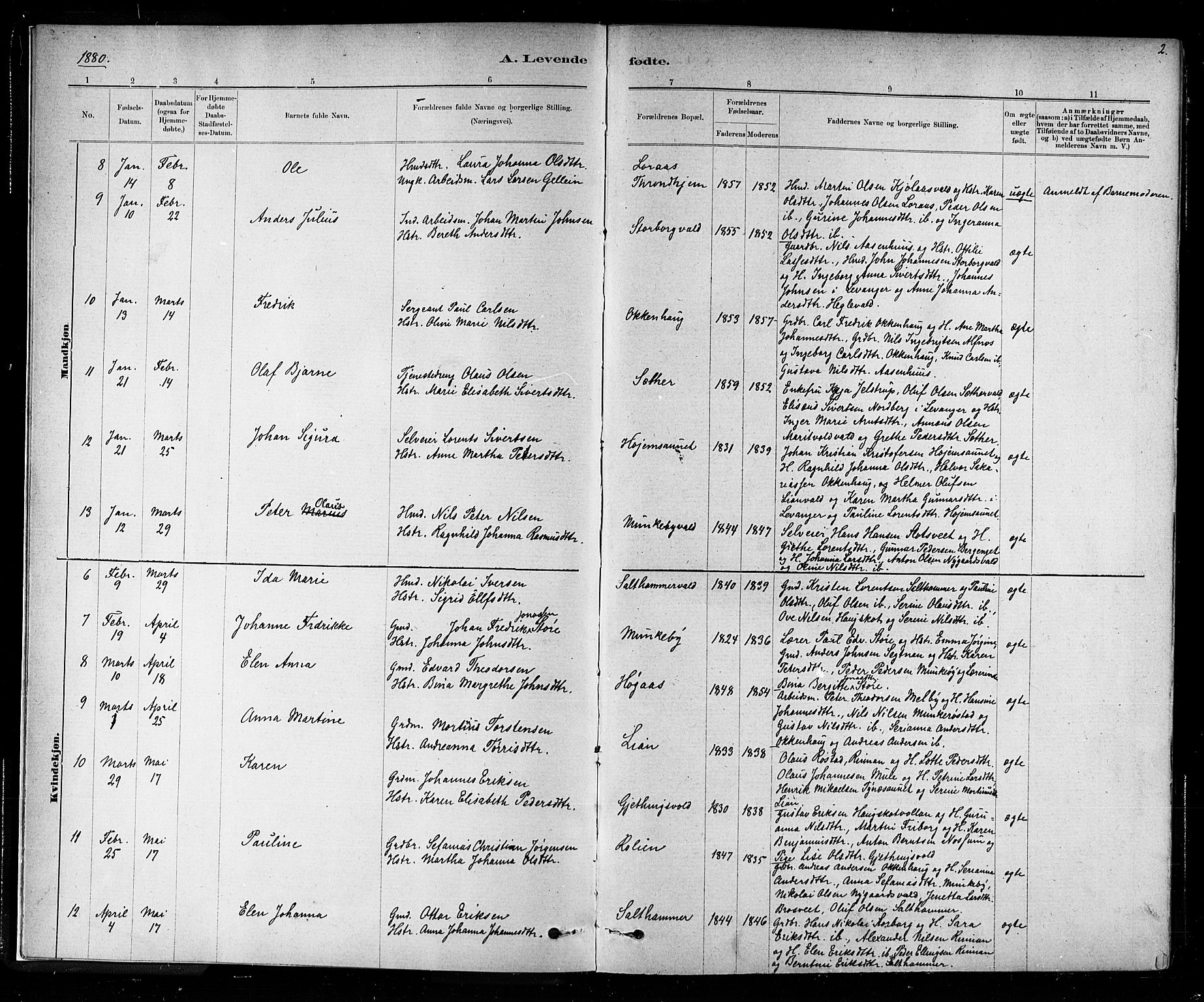Ministerialprotokoller, klokkerbøker og fødselsregistre - Nord-Trøndelag, SAT/A-1458/721/L0208: Parish register (copy) no. 721C01, 1880-1917, p. 2