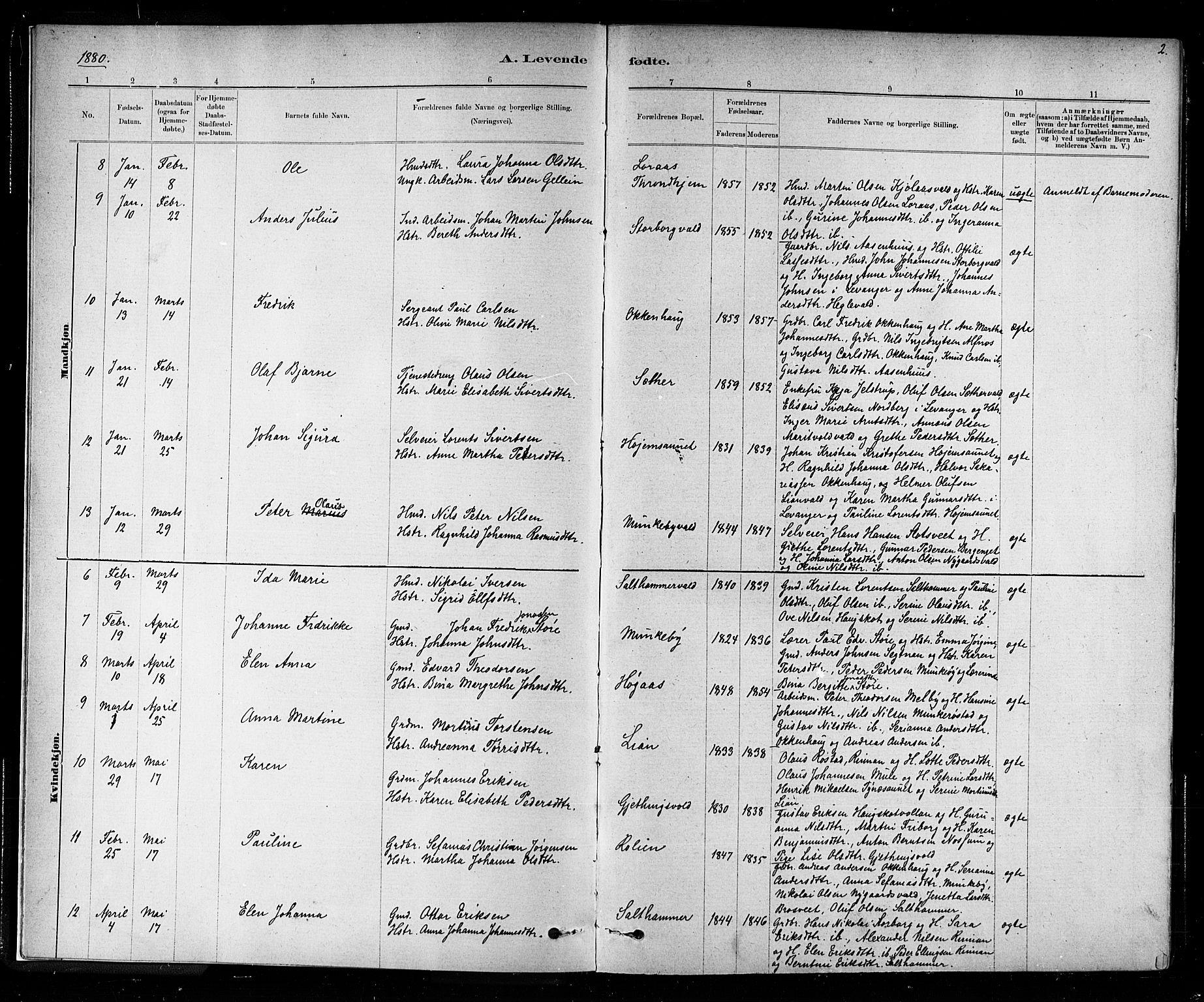 Ministerialprotokoller, klokkerbøker og fødselsregistre - Nord-Trøndelag, AV/SAT-A-1458/721/L0208: Parish register (copy) no. 721C01, 1880-1917, p. 2