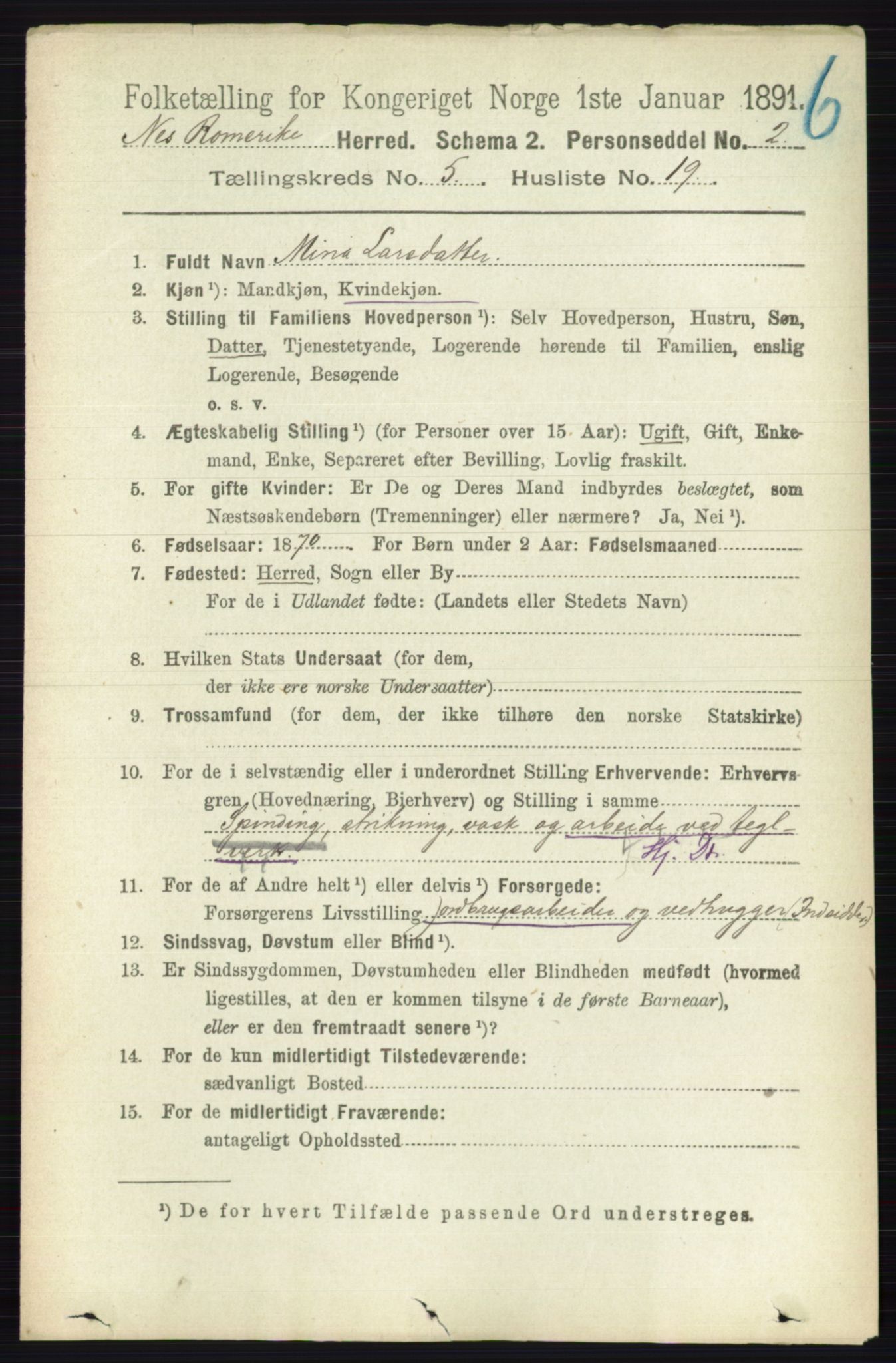 RA, 1891 census for 0236 Nes, 1891, p. 2895