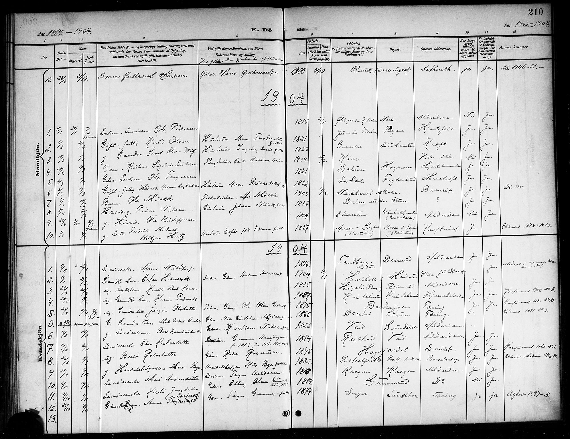 Sigdal kirkebøker, SAKO/A-245/G/Ga/L0006: Parish register (copy) no. I 6, 1901-1916, p. 210