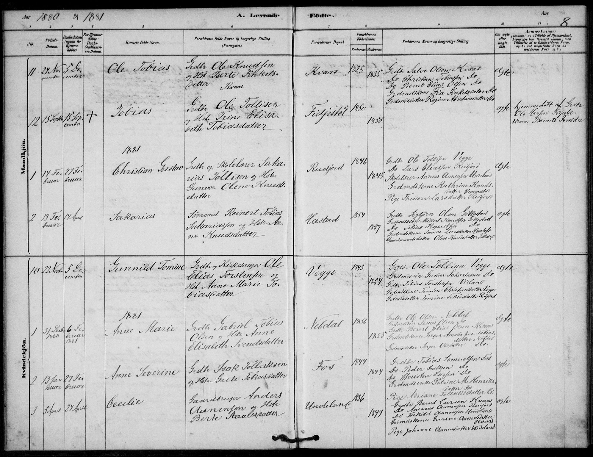 Lyngdal sokneprestkontor, AV/SAK-1111-0029/F/Fa/Fab/L0003: Parish register (official) no. A 3, 1878-1903, p. 8