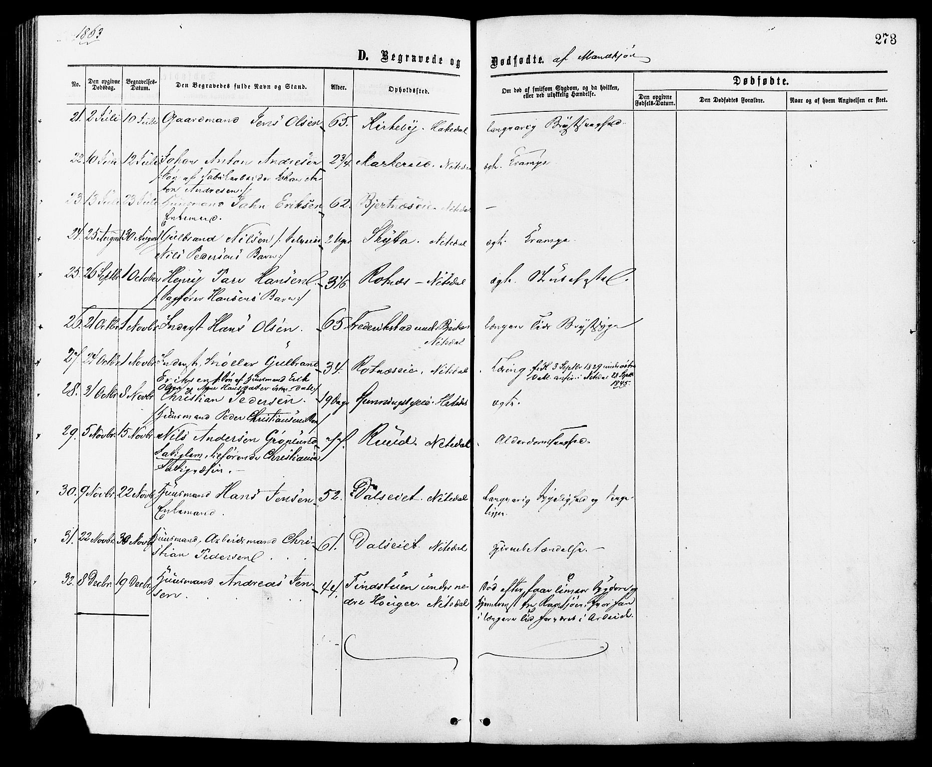 Nittedal prestekontor Kirkebøker, AV/SAO-A-10365a/F/Fa/L0006: Parish register (official) no. I 6, 1863-1878, p. 273