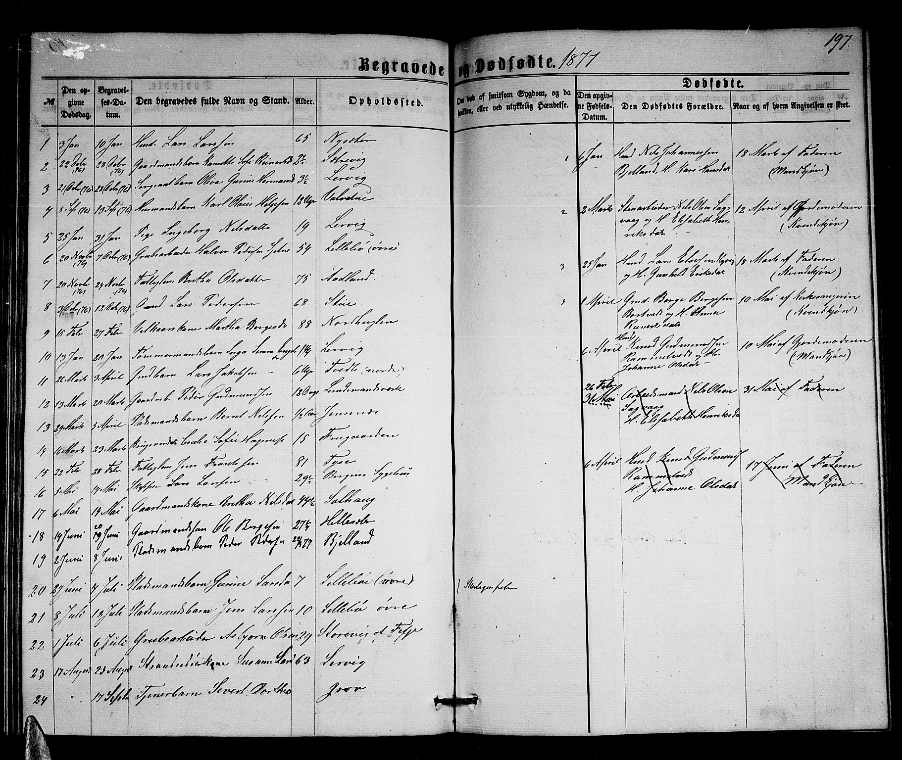 Stord sokneprestembete, SAB/A-78201/H/Hab: Parish register (copy) no. A 1, 1864-1878, p. 197