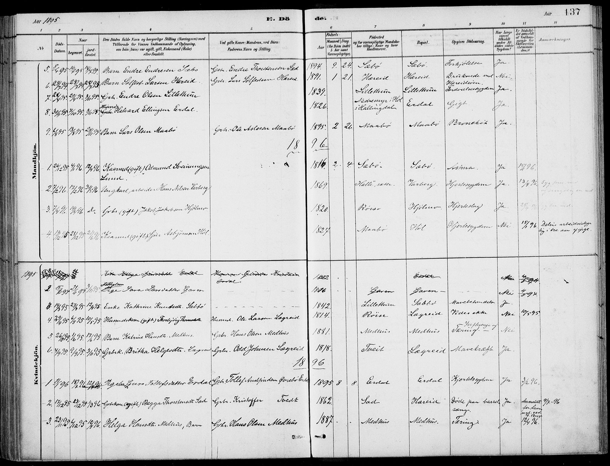 Ulvik sokneprestembete, AV/SAB-A-78801/H/Haa: Parish register (official) no. D  1, 1878-1903, p. 137