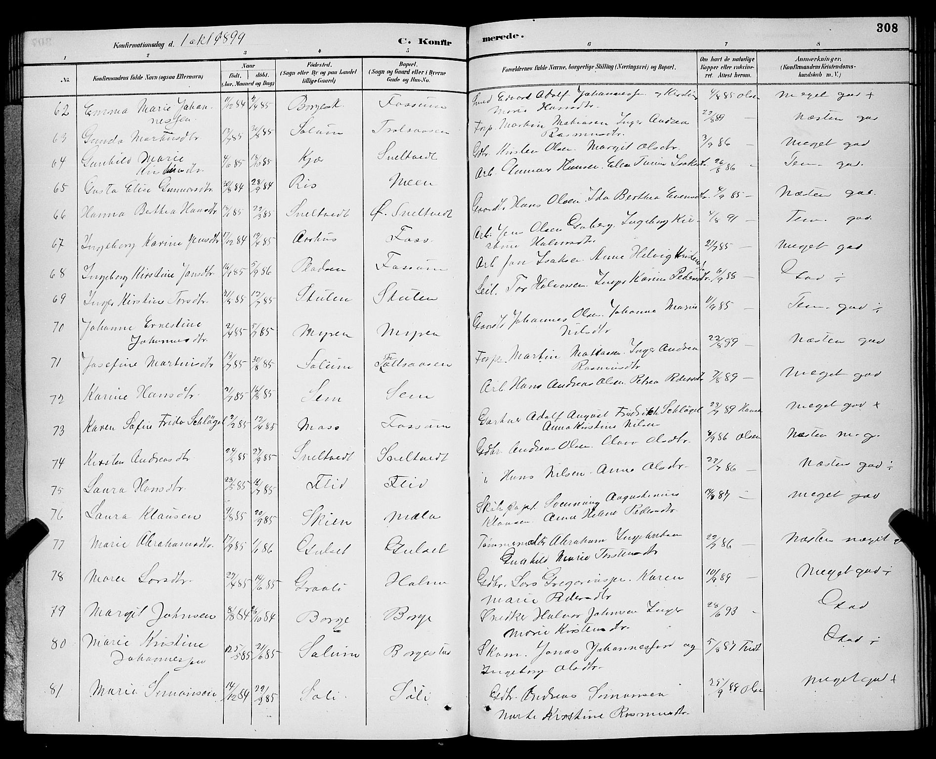 Gjerpen kirkebøker, AV/SAKO-A-265/G/Ga/L0002: Parish register (copy) no. I 2, 1883-1900, p. 308