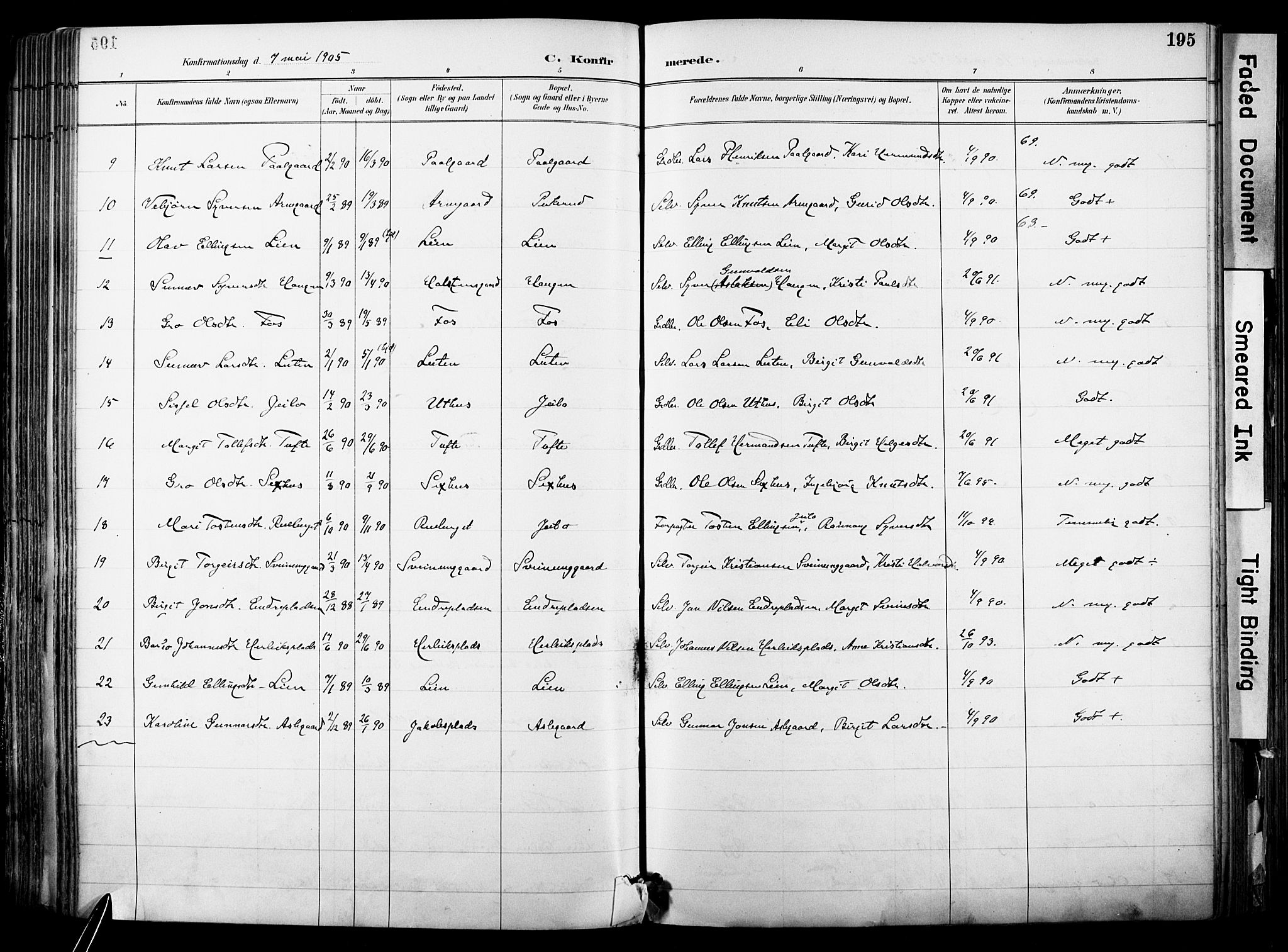 Hol kirkebøker, AV/SAKO-A-227/F/Fa/L0003: Parish register (official) no. I 3, 1887-1918, p. 195