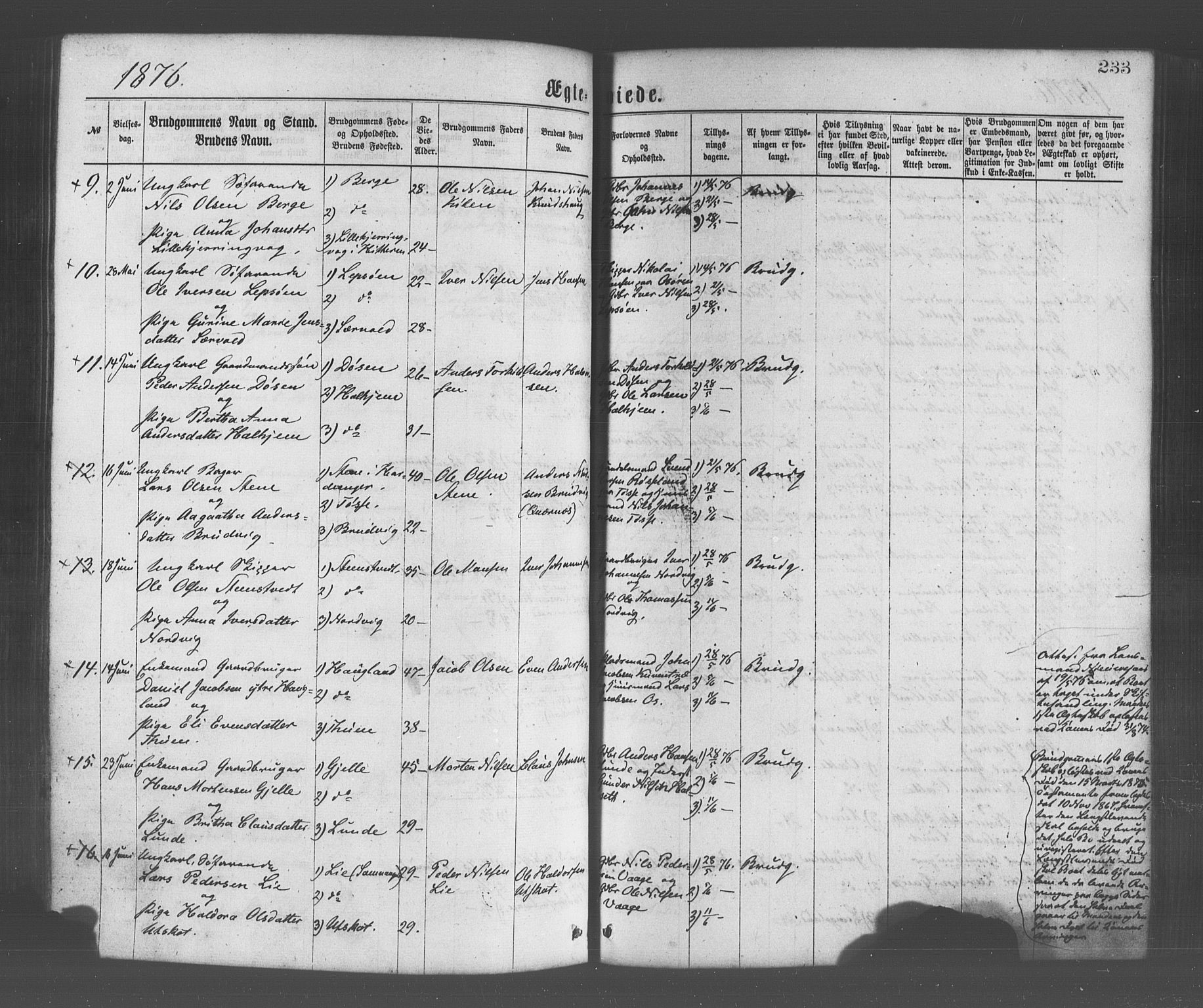 Os sokneprestembete, AV/SAB-A-99929: Parish register (official) no. A 18, 1874-1884, p. 233