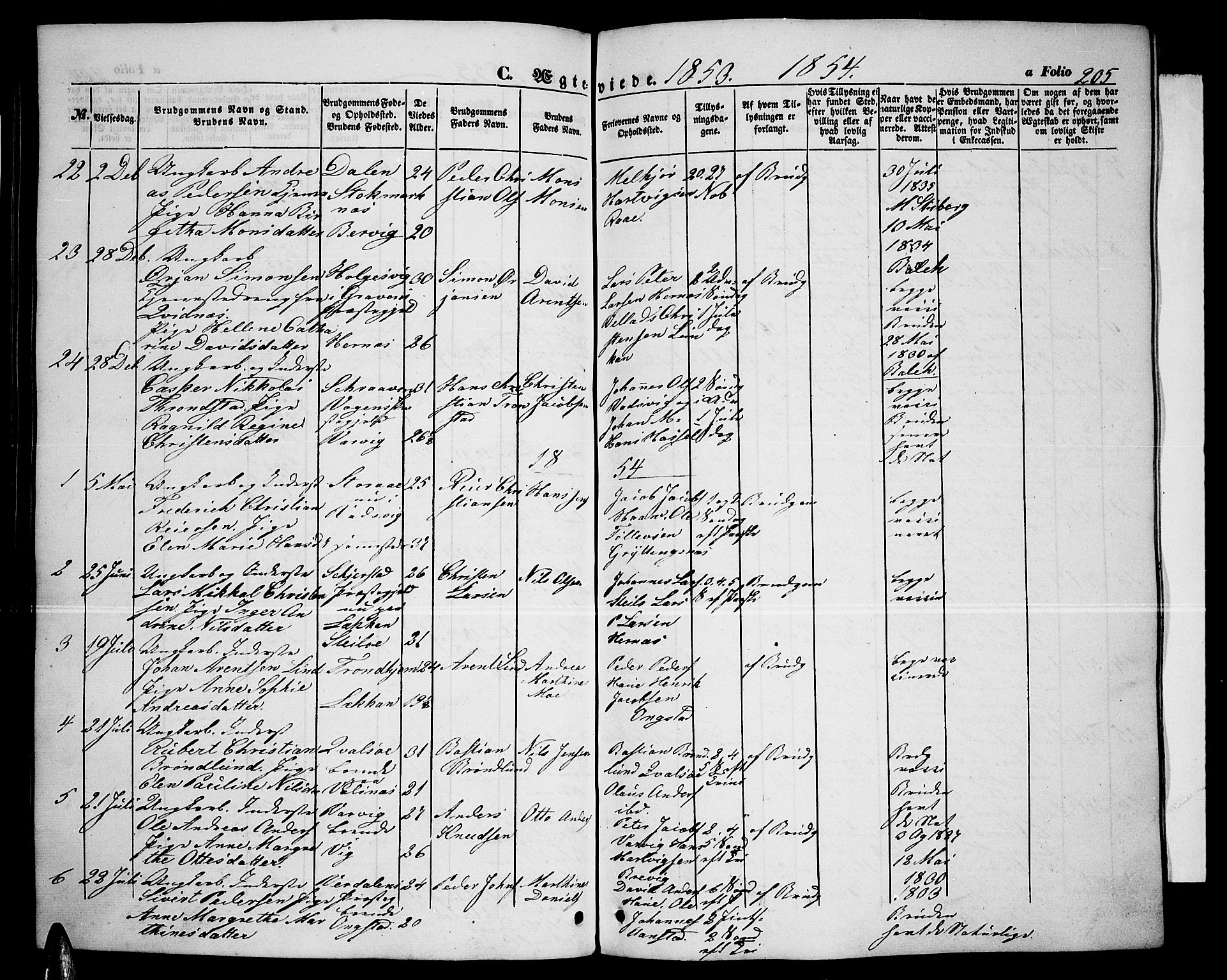 Ministerialprotokoller, klokkerbøker og fødselsregistre - Nordland, AV/SAT-A-1459/888/L1265: Parish register (copy) no. 888C03, 1850-1863, p. 205