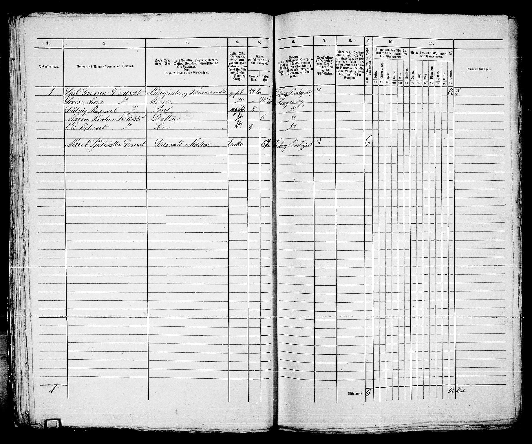 RA, 1865 census for Kongsberg/Kongsberg, 1865, p. 1062