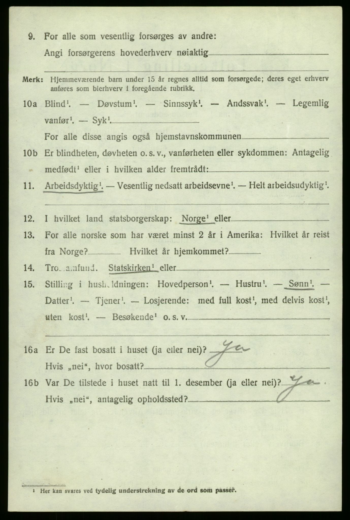 SAO, 1920 census for Hvaler, 1920, p. 4027