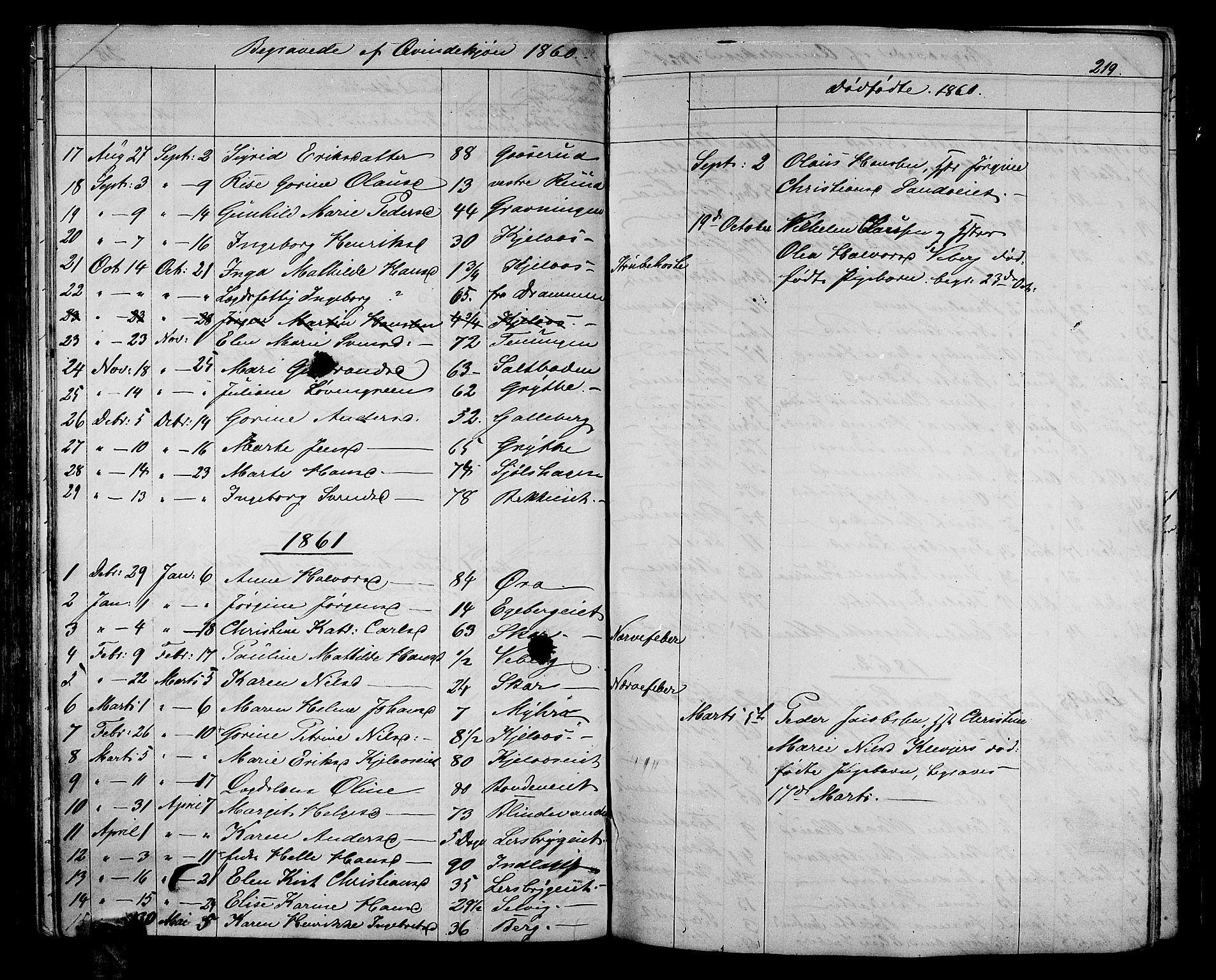 Sande Kirkebøker, AV/SAKO-A-53/G/Ga/L0002: Parish register (copy) no. 2, 1847-1863, p. 219