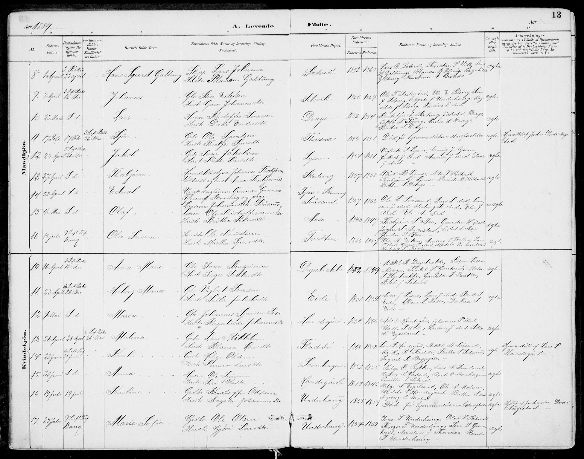 Strandebarm sokneprestembete, AV/SAB-A-78401/H/Haa: Parish register (official) no. E  1, 1886-1908, p. 13