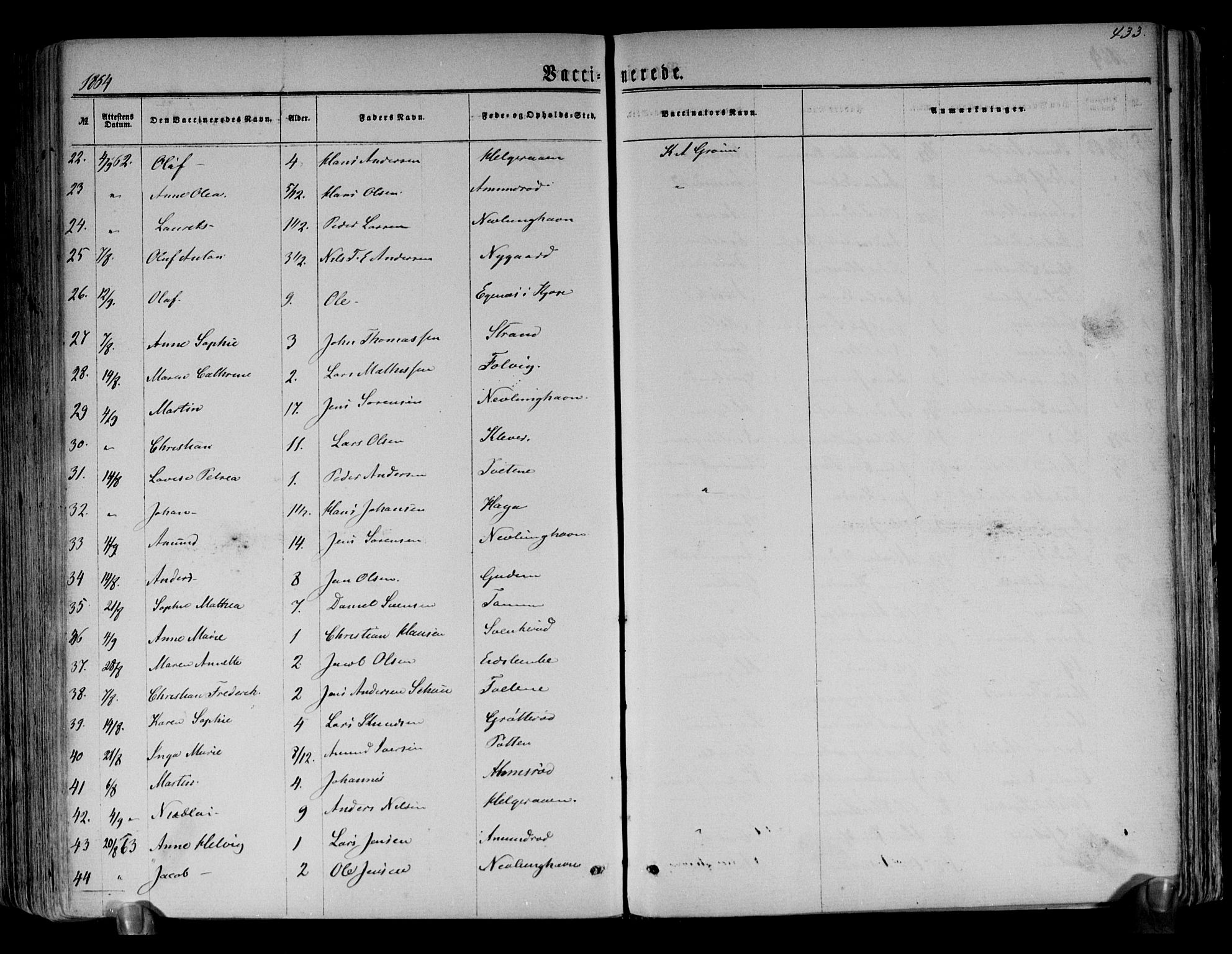 Brunlanes kirkebøker, AV/SAKO-A-342/F/Fa/L0005: Parish register (official) no. I 5, 1862-1877, p. 433