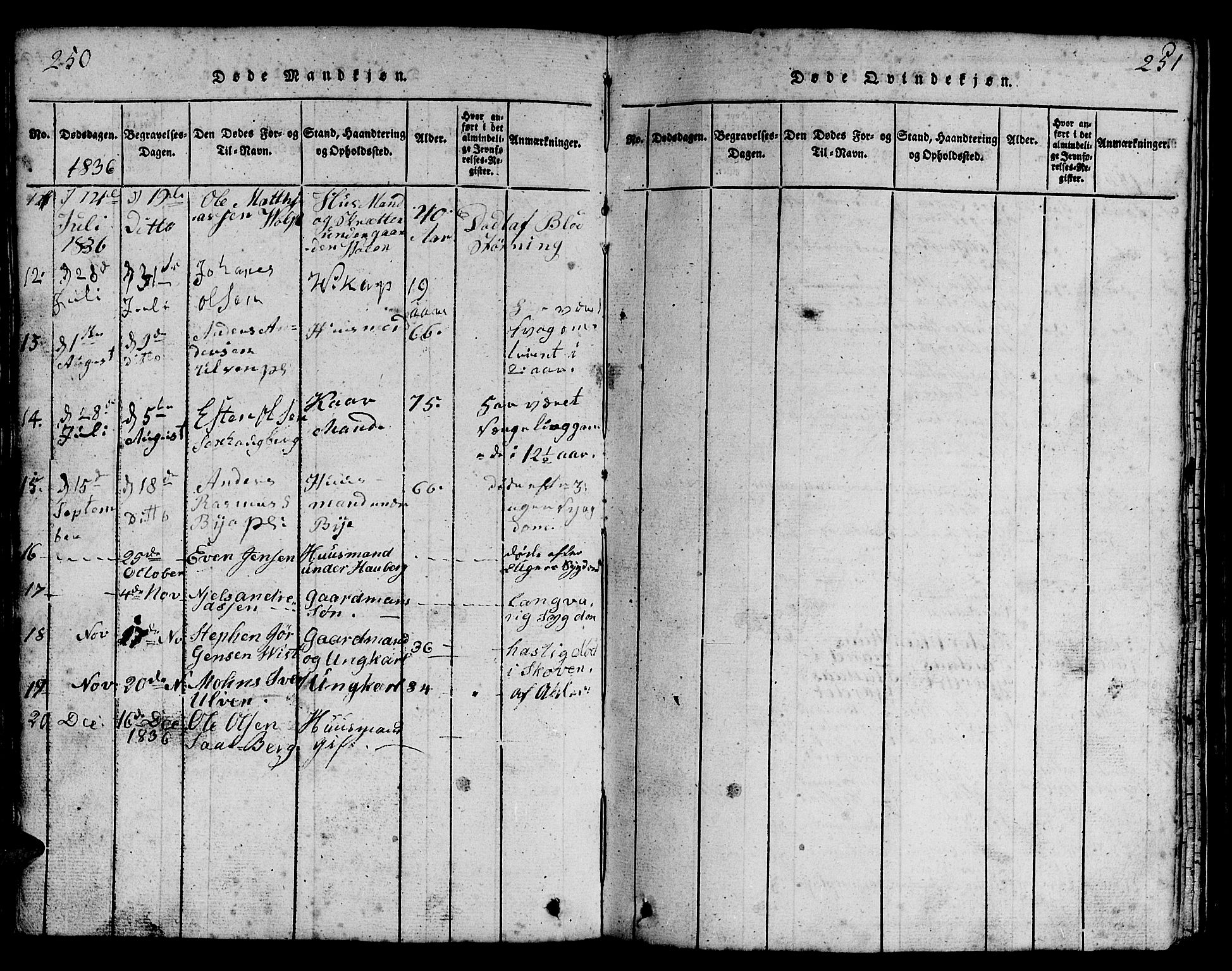Ministerialprotokoller, klokkerbøker og fødselsregistre - Nord-Trøndelag, SAT/A-1458/730/L0298: Parish register (copy) no. 730C01, 1816-1849, p. 250-251