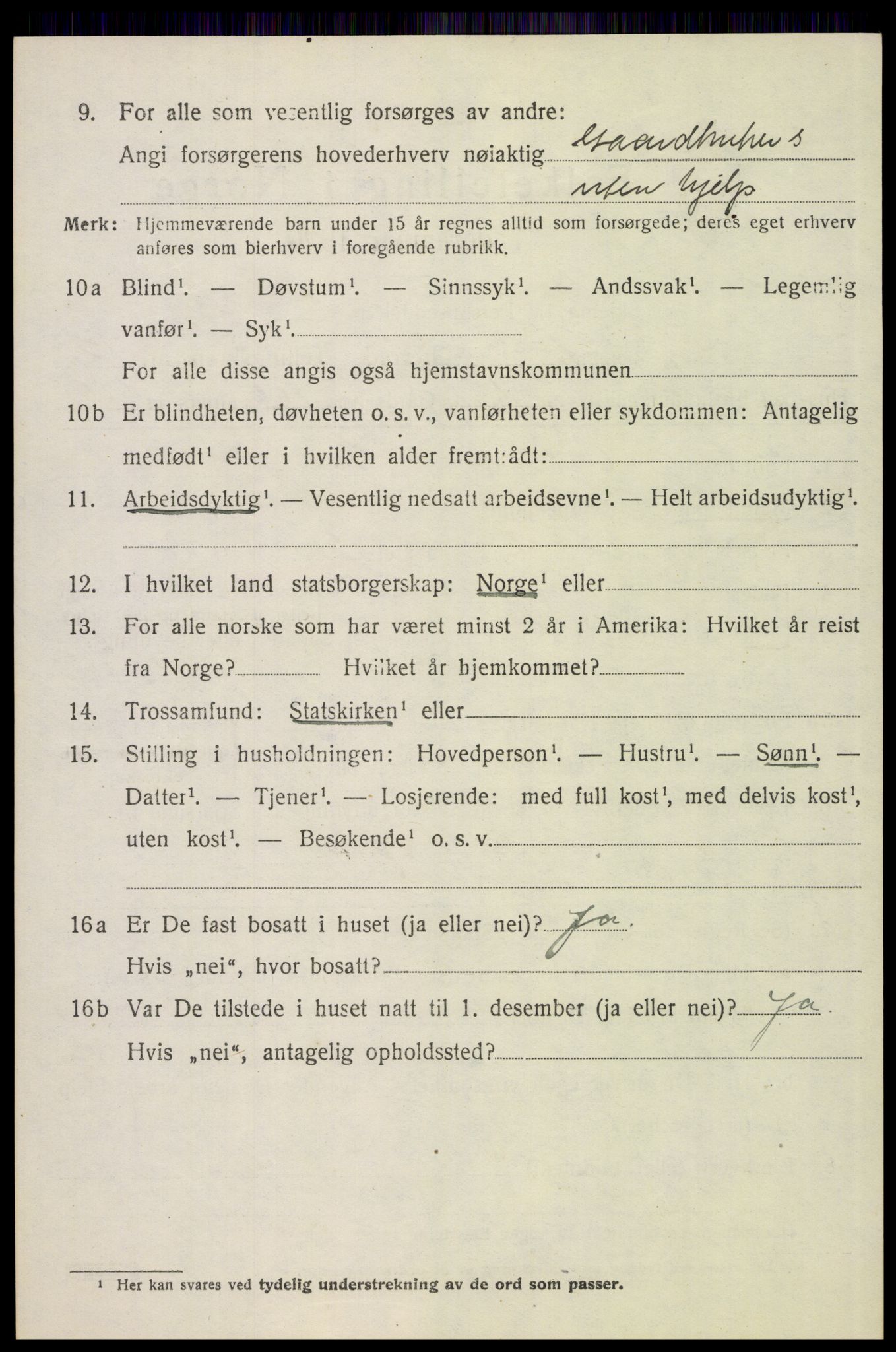 SAH, 1920 census for Tynset, 1920, p. 8313