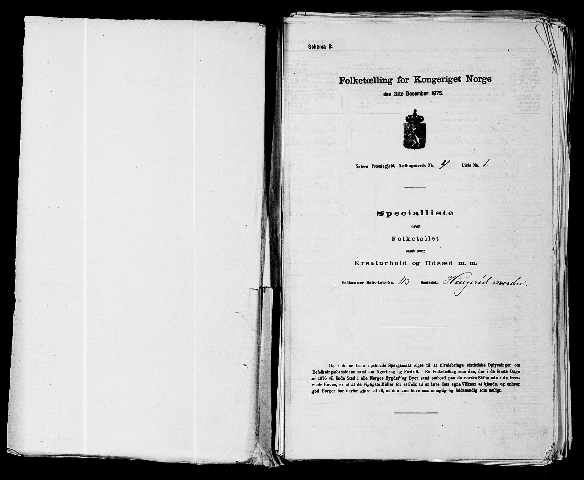 SAKO, 1875 census for 0722P Nøtterøy, 1875, p. 797