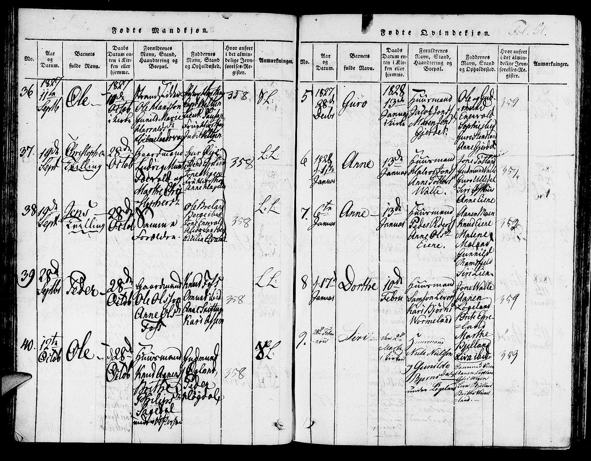 Hjelmeland sokneprestkontor, SAST/A-101843/01/IV/L0003: Parish register (official) no. A 3, 1816-1834, p. 51