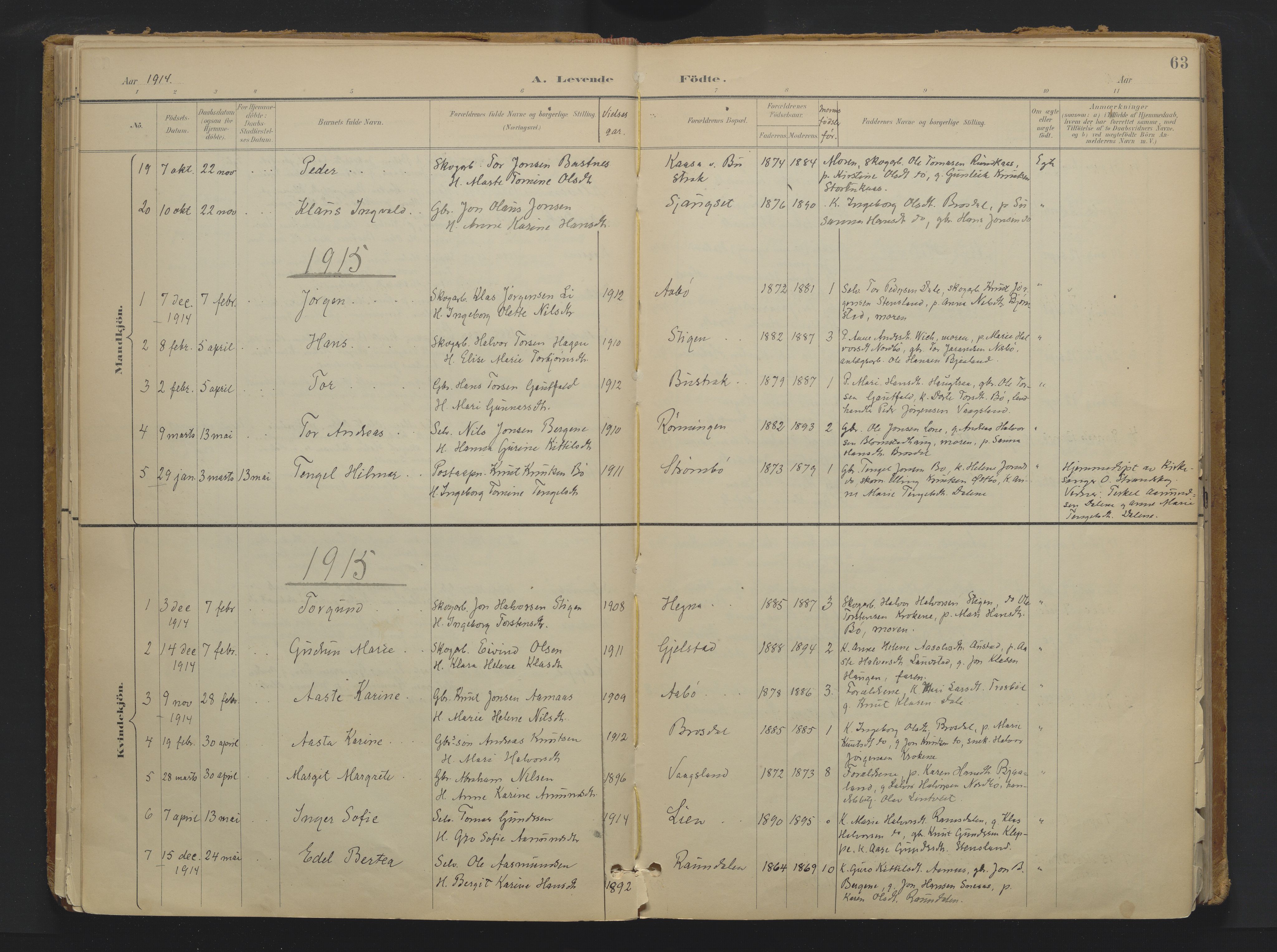 Drangedal kirkebøker, SAKO/A-258/F/Fa/L0013: Parish register (official) no. 13, 1895-1919, p. 63