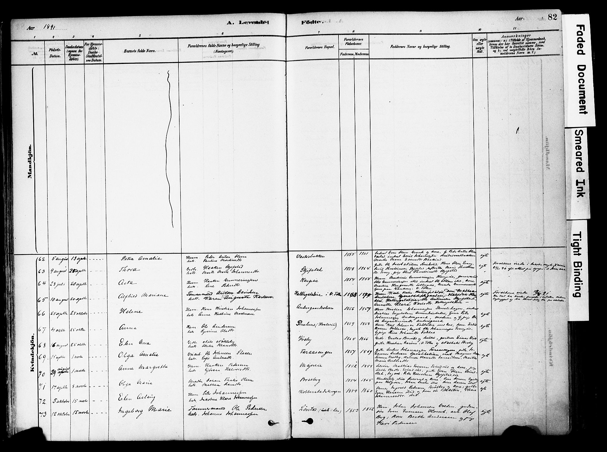 Østre Toten prestekontor, SAH/PREST-104/H/Ha/Haa/L0006: Parish register (official) no. 6 /1, 1878-1896, p. 82