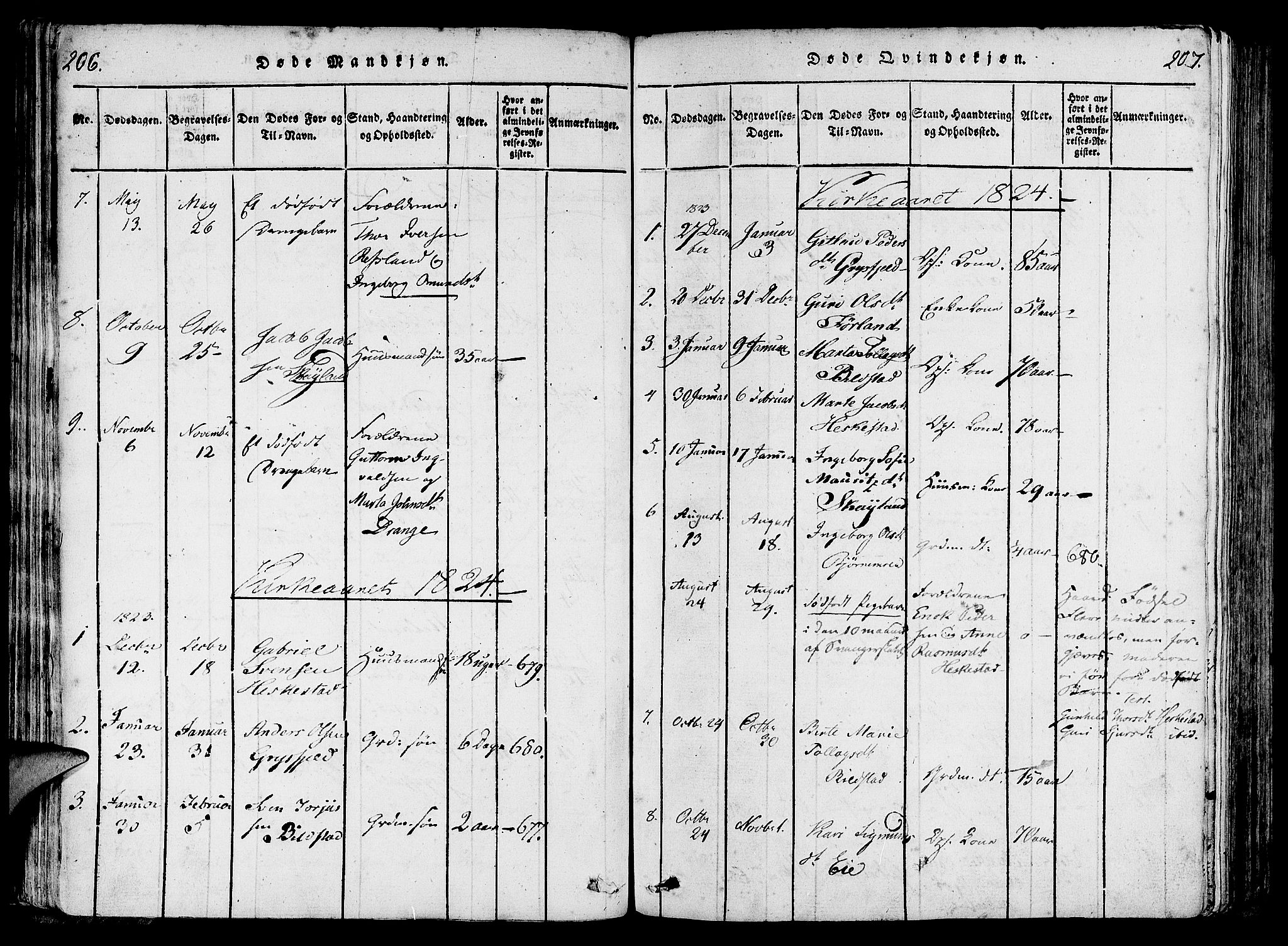 Lund sokneprestkontor, SAST/A-101809/S06/L0006: Parish register (official) no. A 6, 1816-1839, p. 206-207
