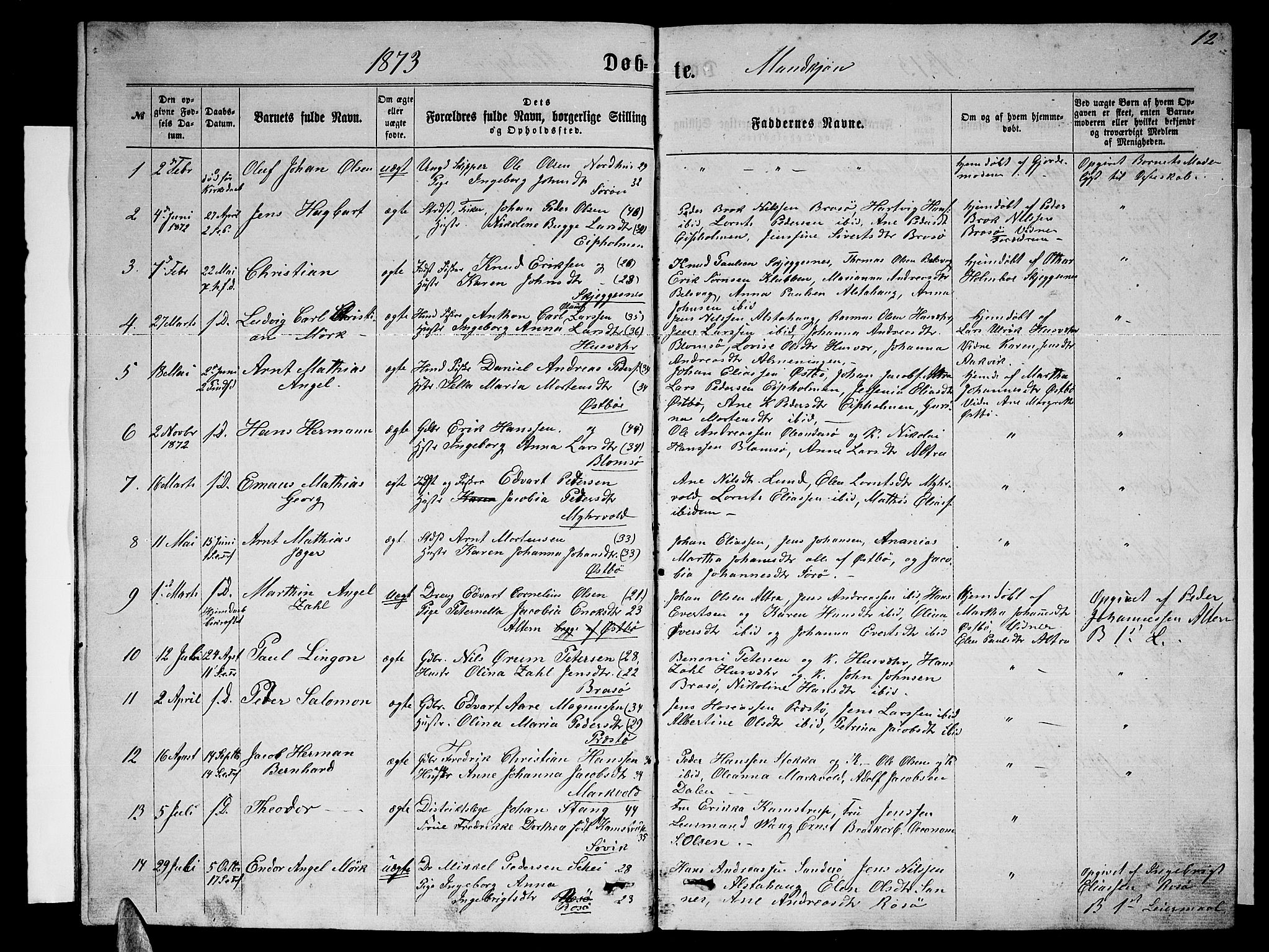 Ministerialprotokoller, klokkerbøker og fødselsregistre - Nordland, SAT/A-1459/830/L0461: Parish register (copy) no. 830C03, 1866-1881, p. 12