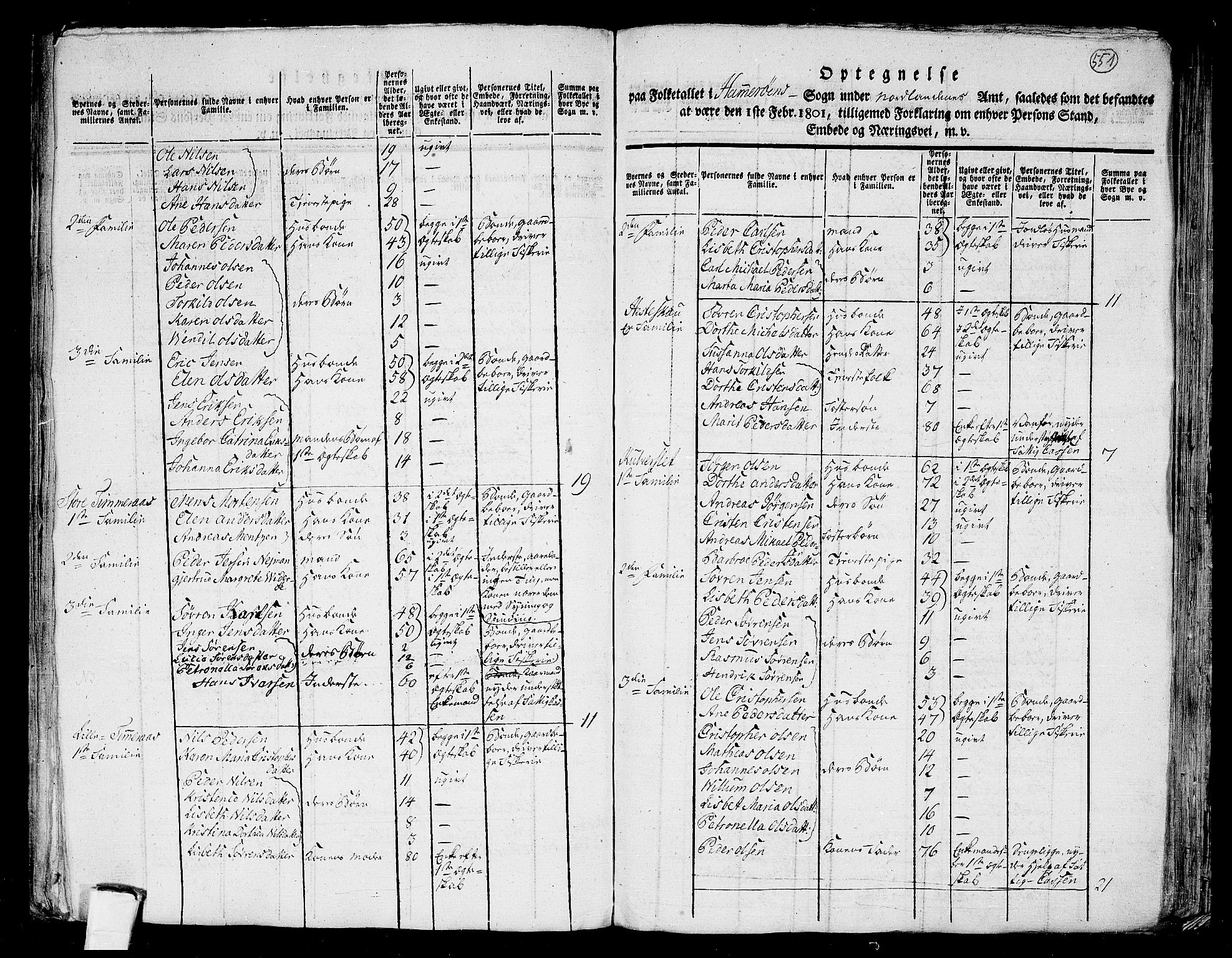 RA, 1801 census for 1848P Steigen, 1801, p. 550b-551a
