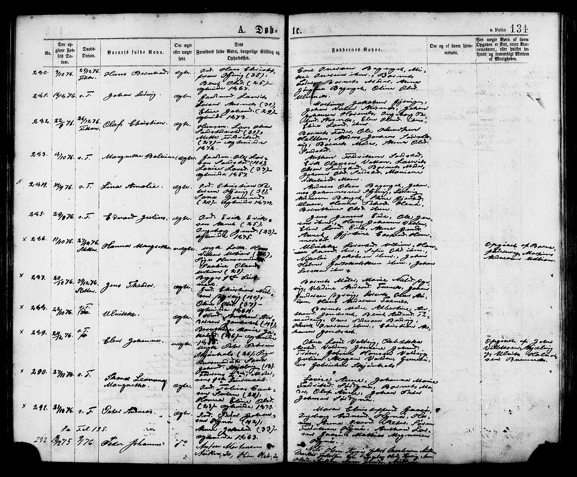 Ministerialprotokoller, klokkerbøker og fødselsregistre - Sør-Trøndelag, SAT/A-1456/634/L0532: Parish register (official) no. 634A08, 1871-1881, p. 134