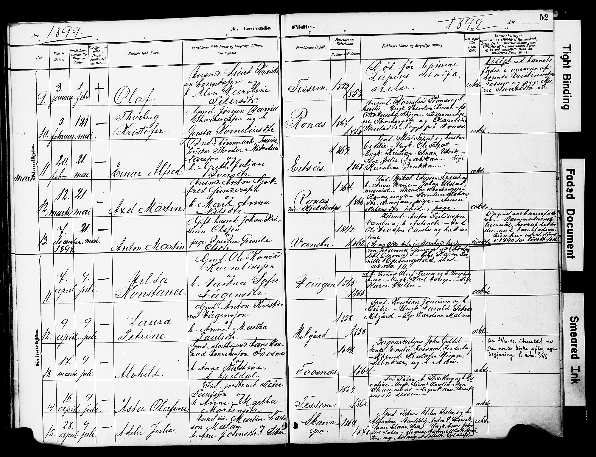 Ministerialprotokoller, klokkerbøker og fødselsregistre - Nord-Trøndelag, AV/SAT-A-1458/741/L0396: Parish register (official) no. 741A10, 1889-1901, p. 52