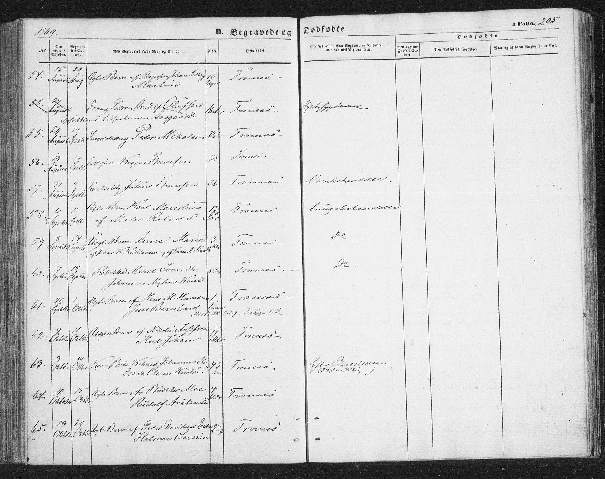 Tromsø sokneprestkontor/stiftsprosti/domprosti, SATØ/S-1343/G/Ga/L0012kirke: Parish register (official) no. 12, 1865-1871, p. 205