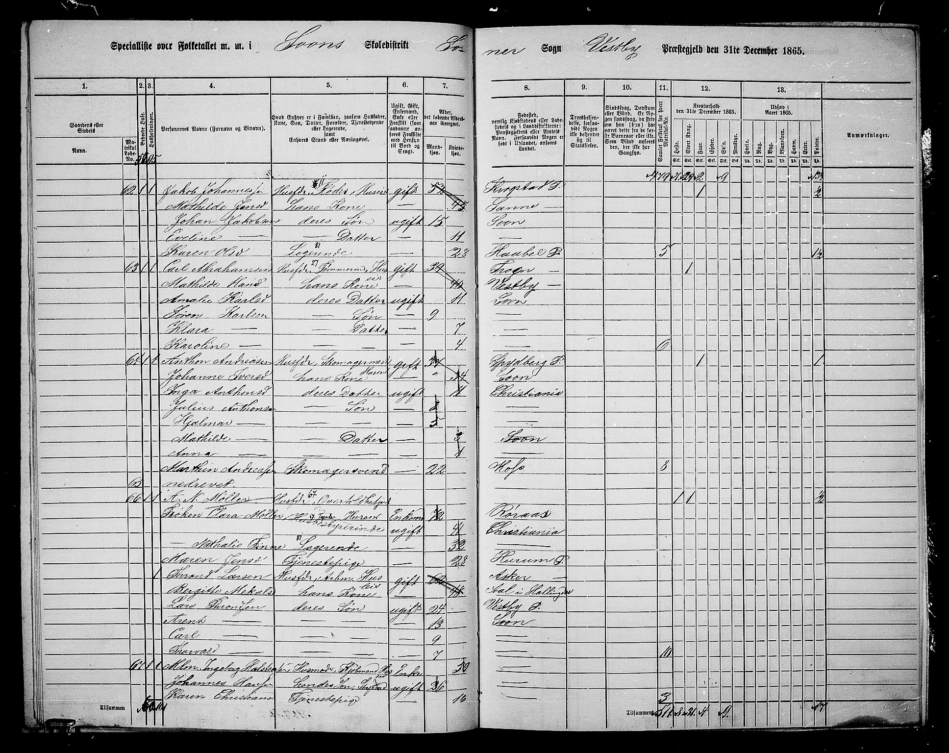 RA, 1865 census for Vestby, 1865, p. 166