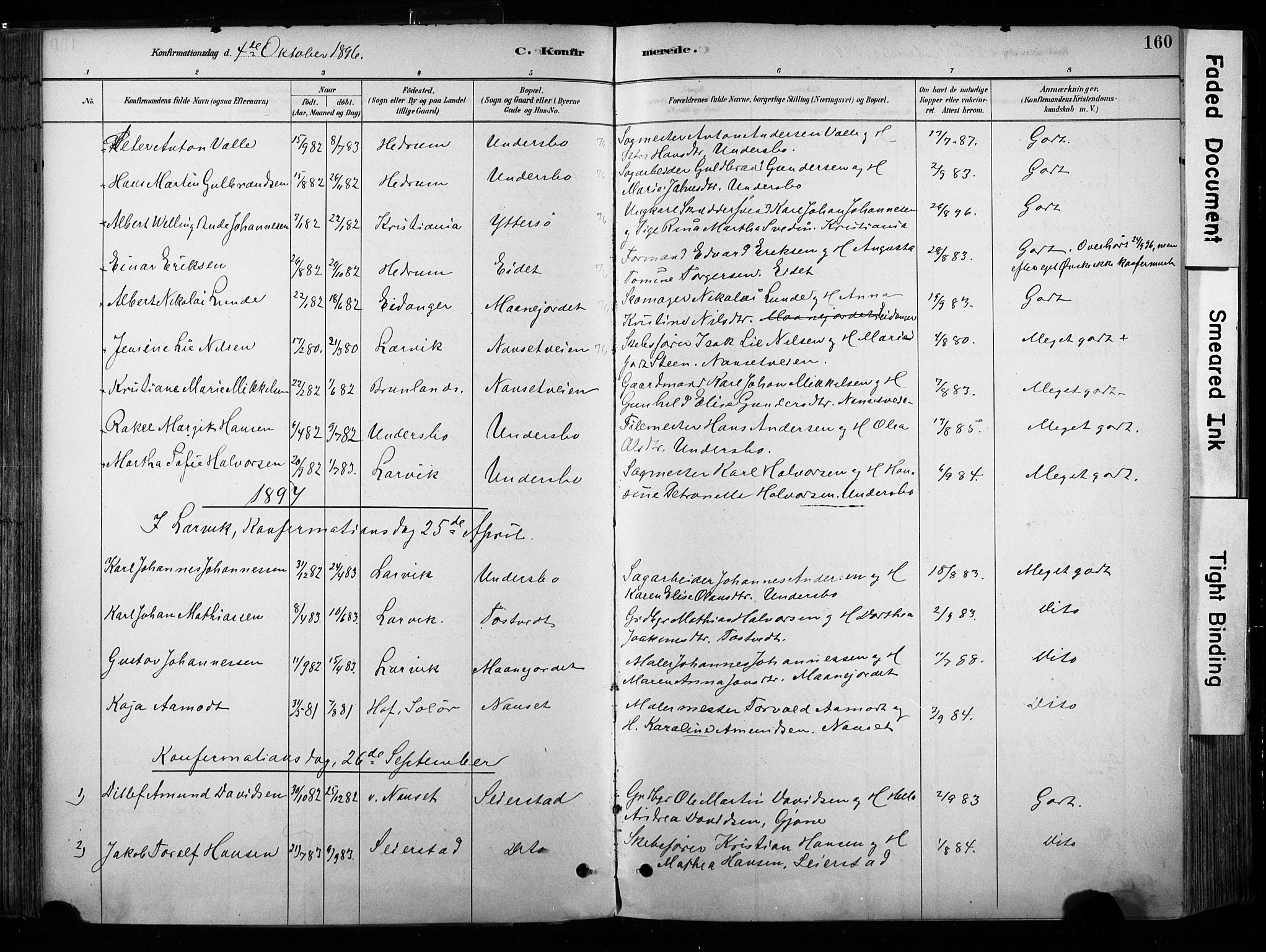 Hedrum kirkebøker, SAKO/A-344/F/Fa/L0009: Parish register (official) no. I 9, 1881-1903, p. 160