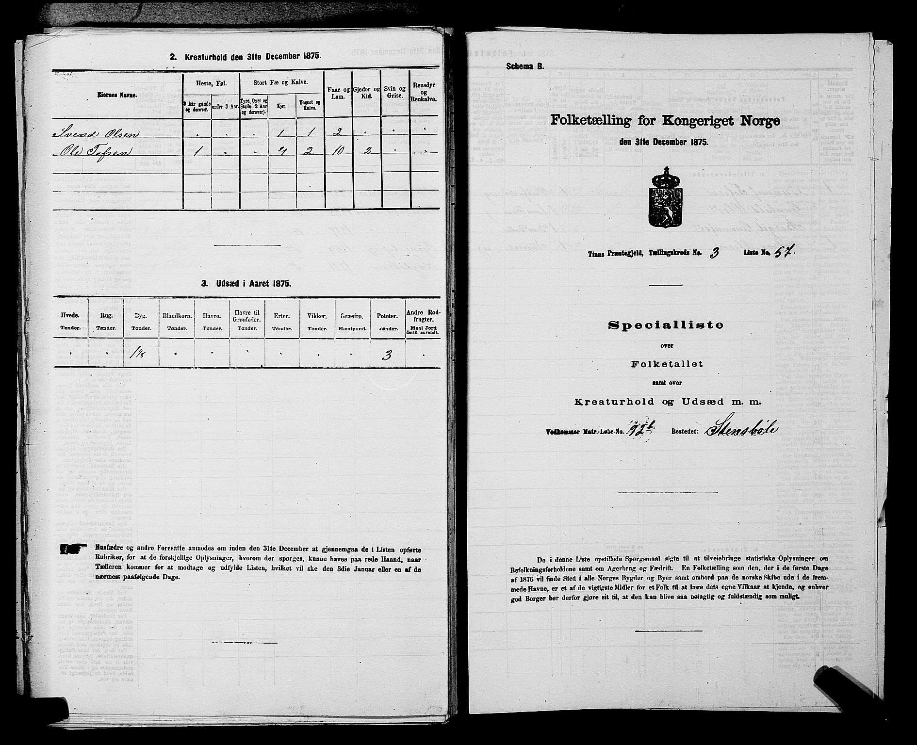 SAKO, 1875 census for 0826P Tinn, 1875, p. 454