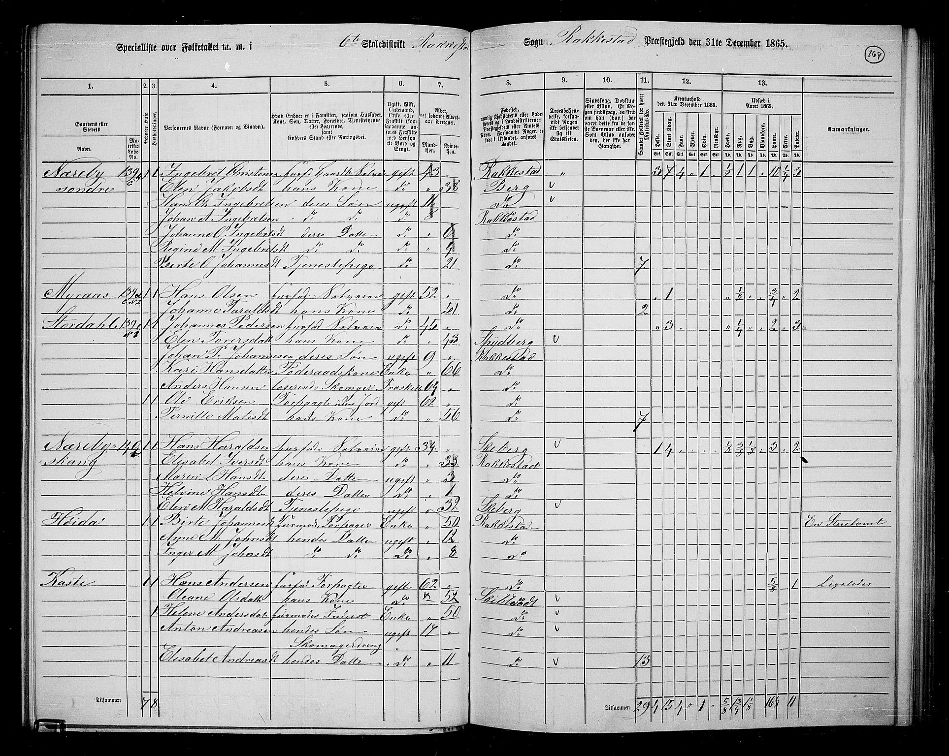 RA, 1865 census for Rakkestad, 1865, p. 156