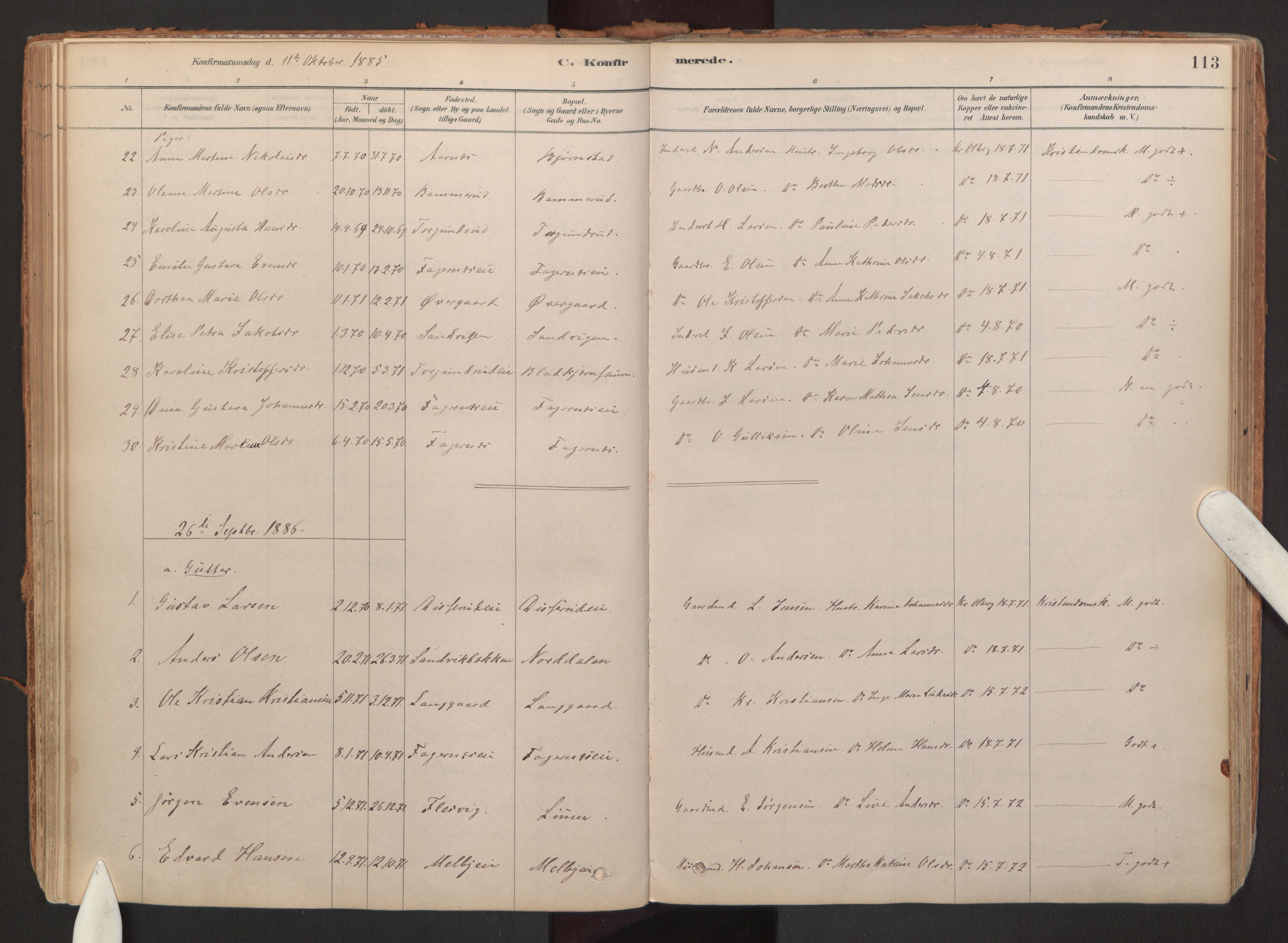 Hurdal prestekontor Kirkebøker, SAO/A-10889/F/Fb/L0003: Parish register (official) no. II 3, 1878-1920, p. 113