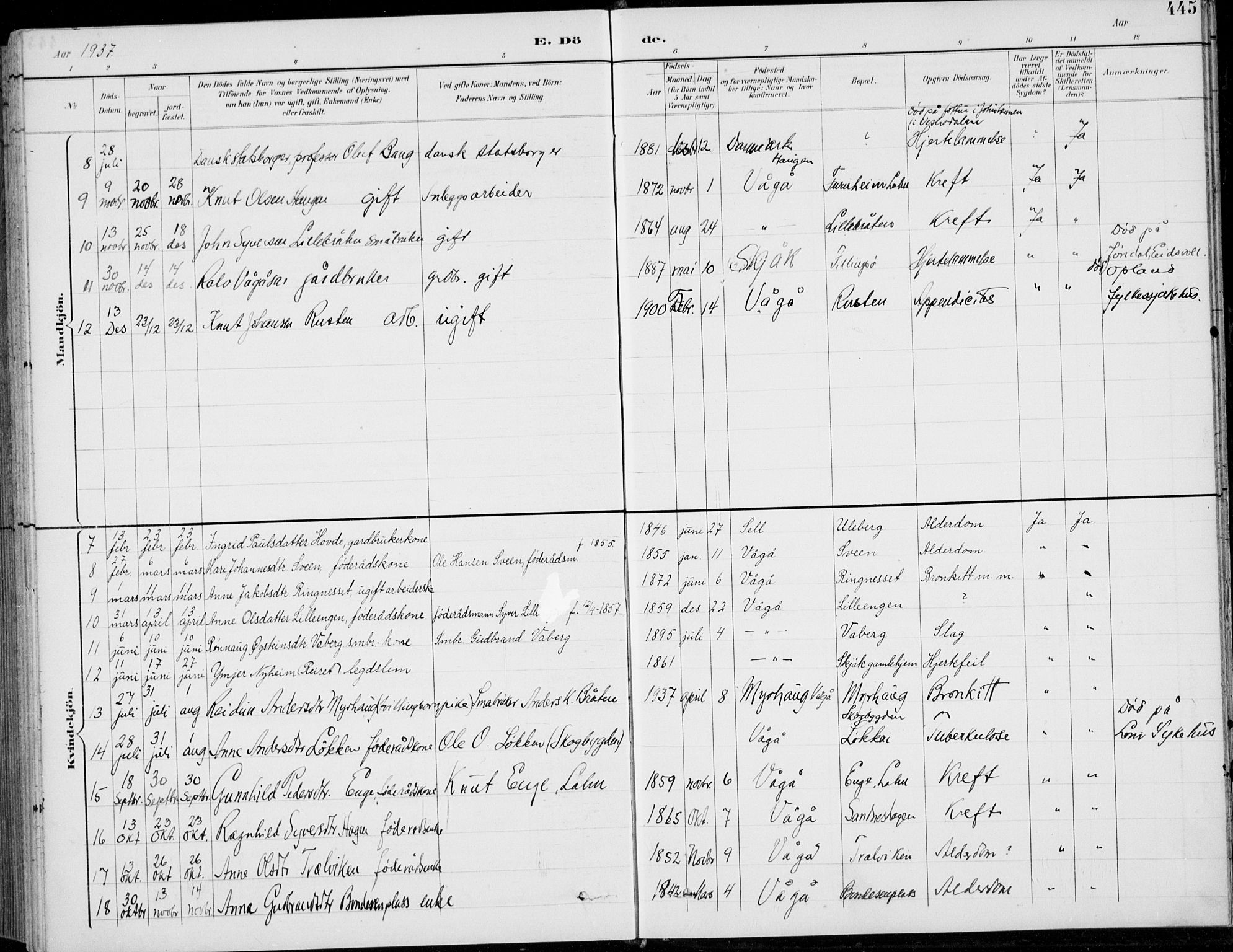 Vågå prestekontor, AV/SAH-PREST-076/H/Ha/Hab/L0002: Parish register (copy) no. 2, 1894-1939, p. 445