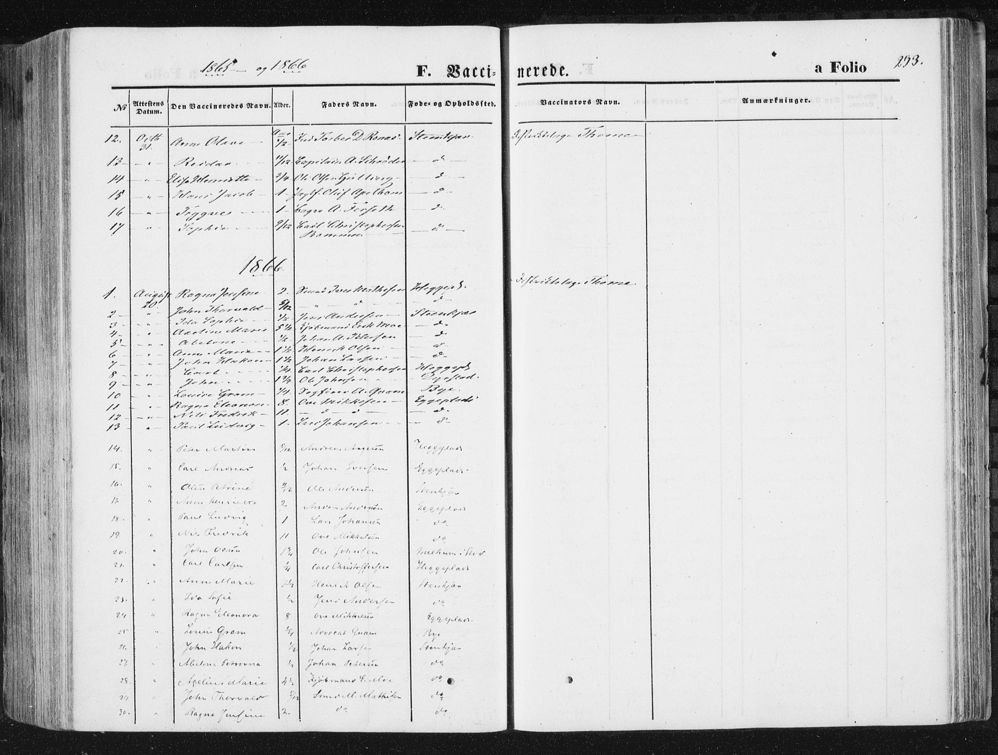 Ministerialprotokoller, klokkerbøker og fødselsregistre - Nord-Trøndelag, AV/SAT-A-1458/746/L0447: Parish register (official) no. 746A06, 1860-1877, p. 293