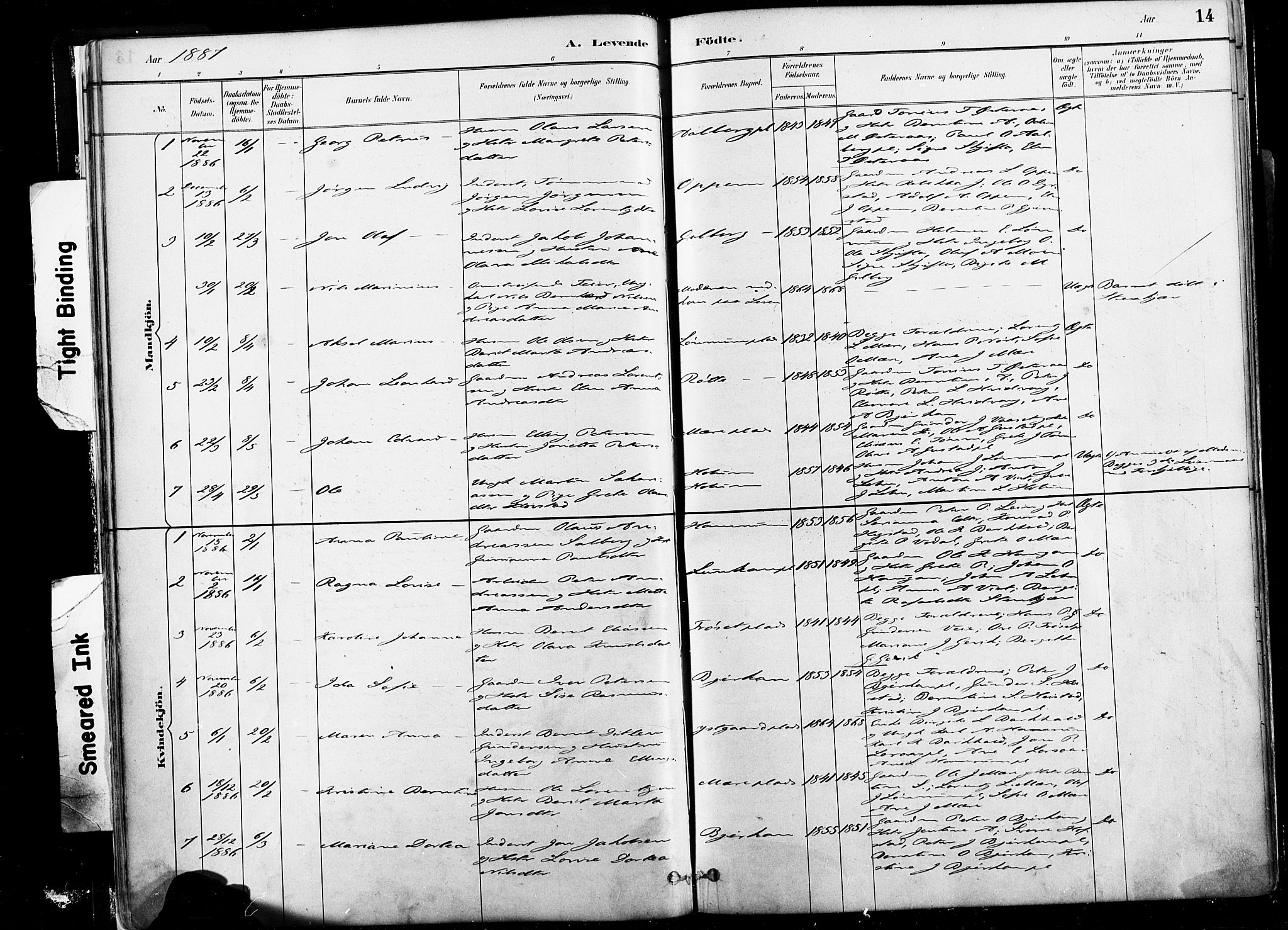 Ministerialprotokoller, klokkerbøker og fødselsregistre - Nord-Trøndelag, SAT/A-1458/735/L0351: Parish register (official) no. 735A10, 1884-1908, p. 14