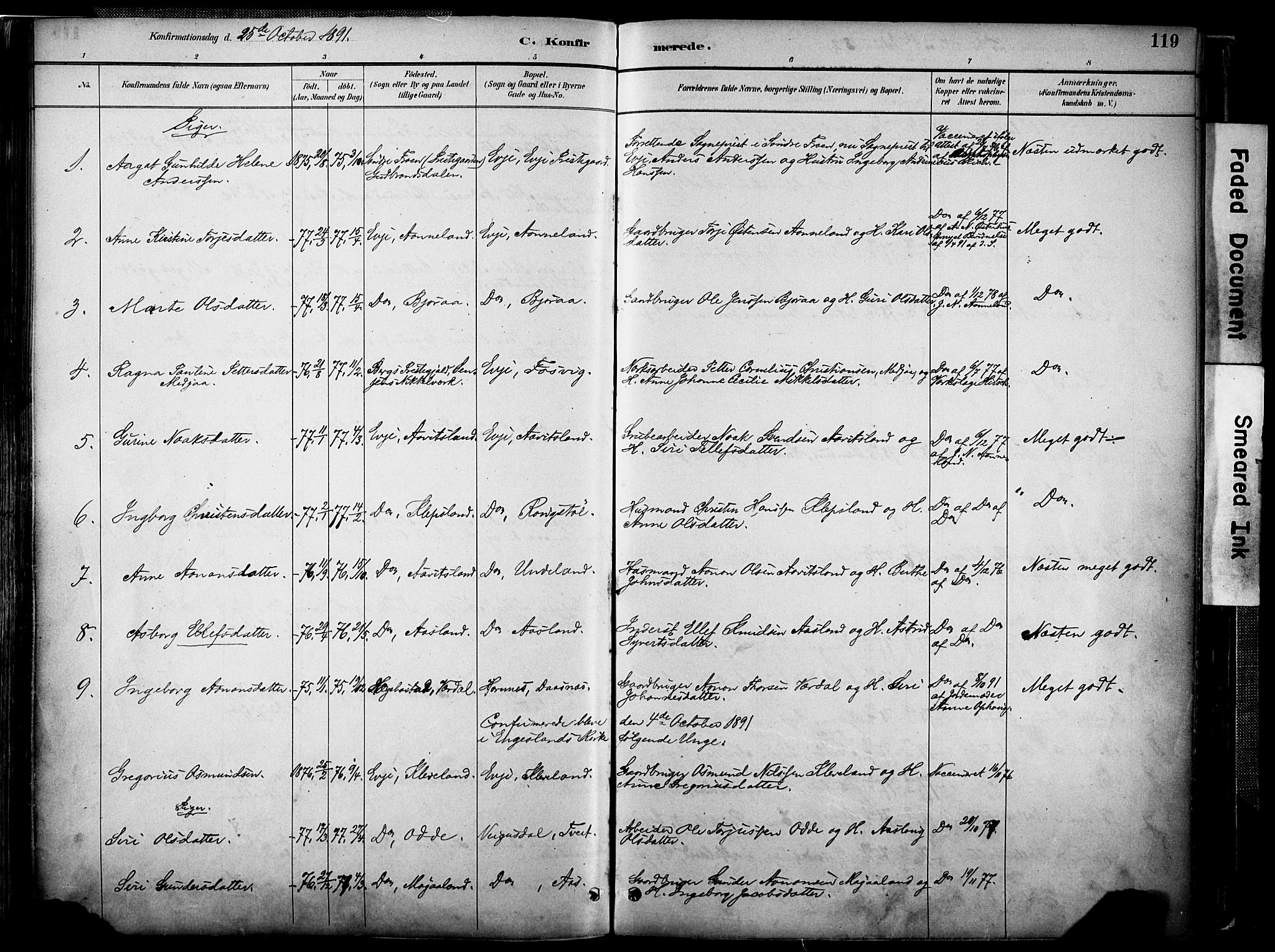 Evje sokneprestkontor, AV/SAK-1111-0008/F/Fa/Faa/L0007: Parish register (official) no. A 7, 1884-1909, p. 119