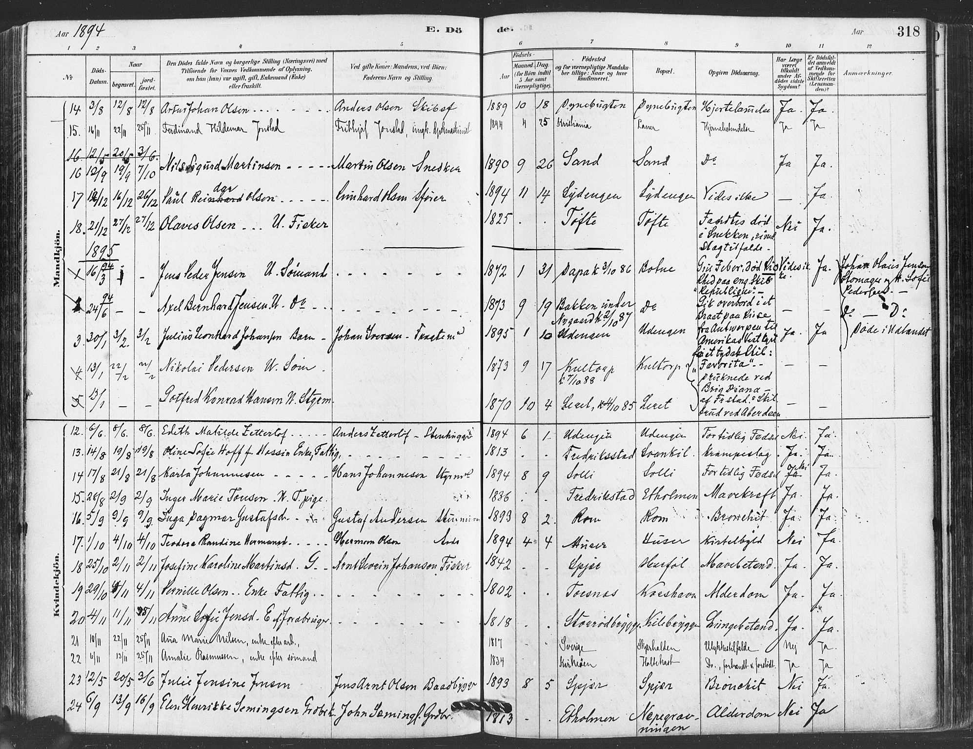 Hvaler prestekontor Kirkebøker, AV/SAO-A-2001/F/Fa/L0008: Parish register (official) no. I 8, 1878-1895, p. 318