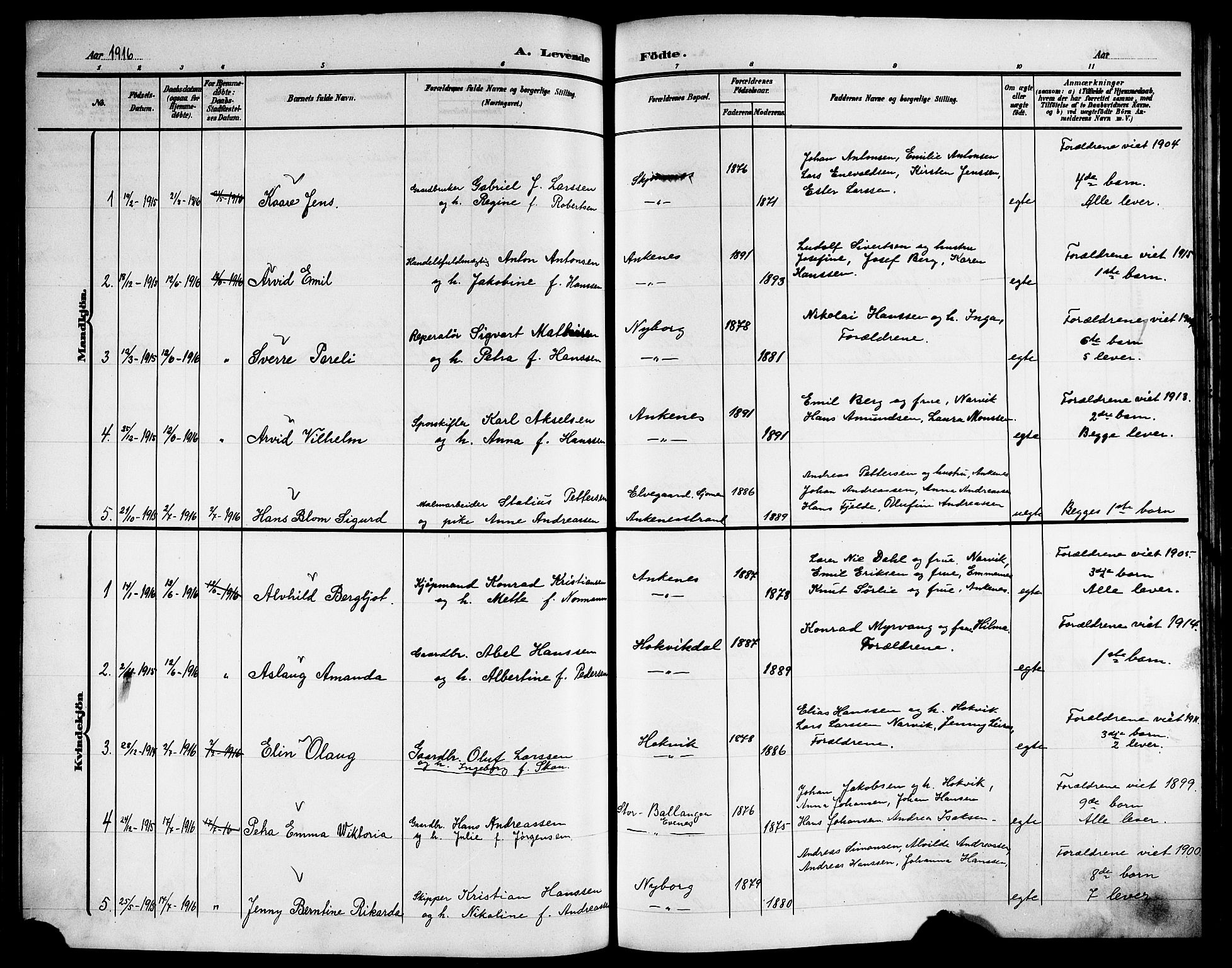 Ministerialprotokoller, klokkerbøker og fødselsregistre - Nordland, AV/SAT-A-1459/866/L0954: Parish register (copy) no. 866C03, 1905-1923