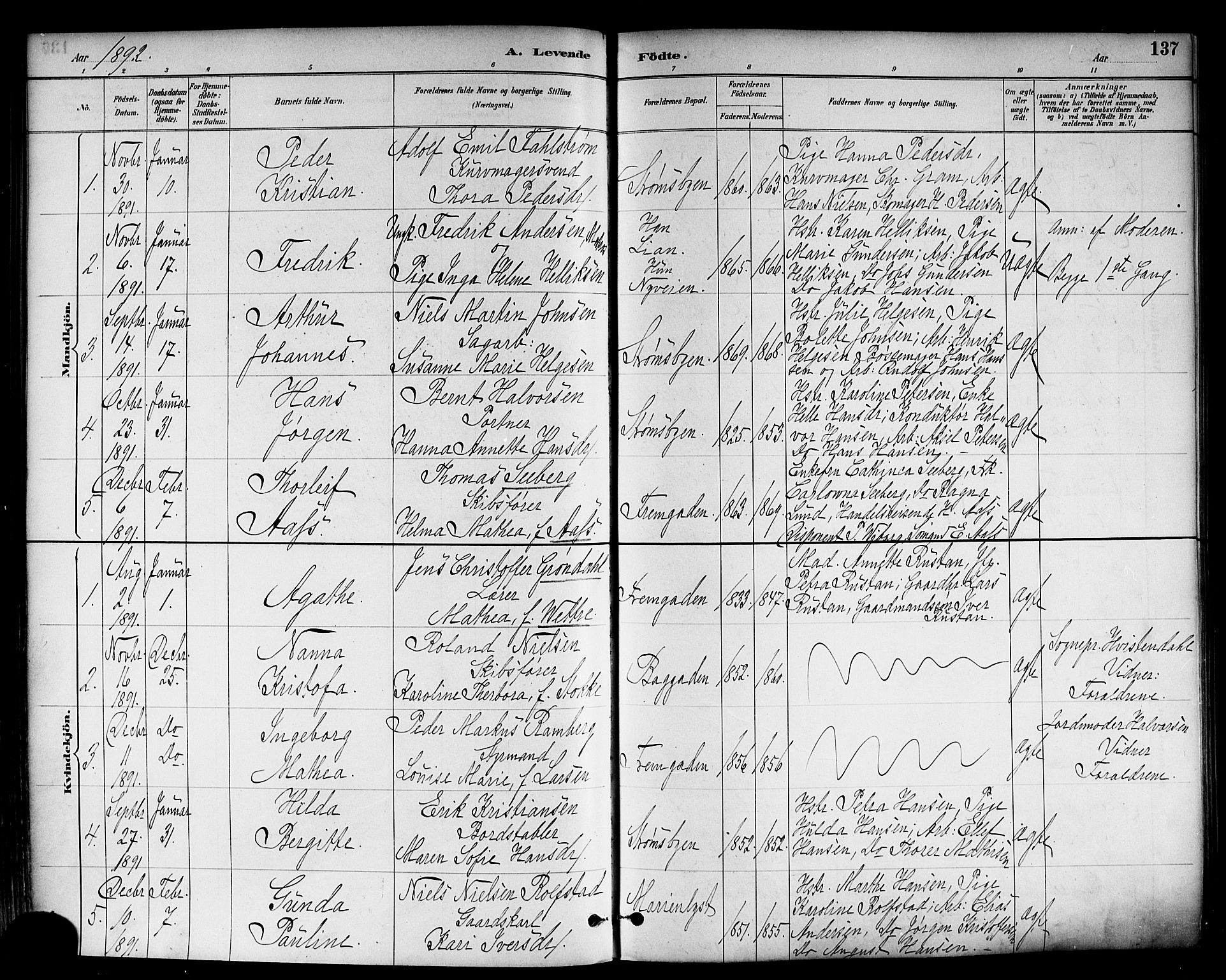 Strømsø kirkebøker, SAKO/A-246/F/Fa/L0023: Parish register (official) no. I 23, 1885-1894, p. 137