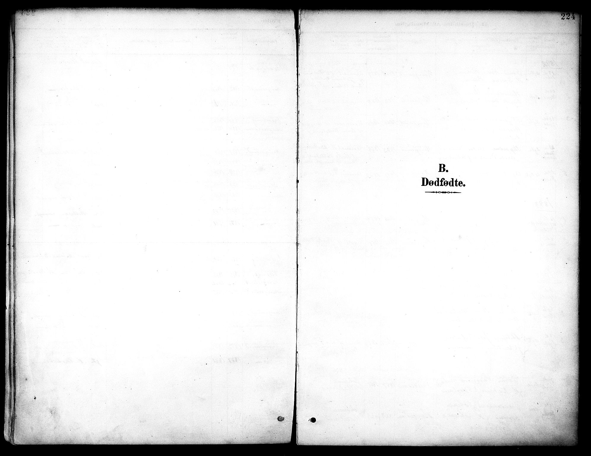 Haugesund sokneprestkontor, SAST/A -101863/H/Ha/Haa/L0006: Parish register (official) no. A 6, 1891-1907, p. 224