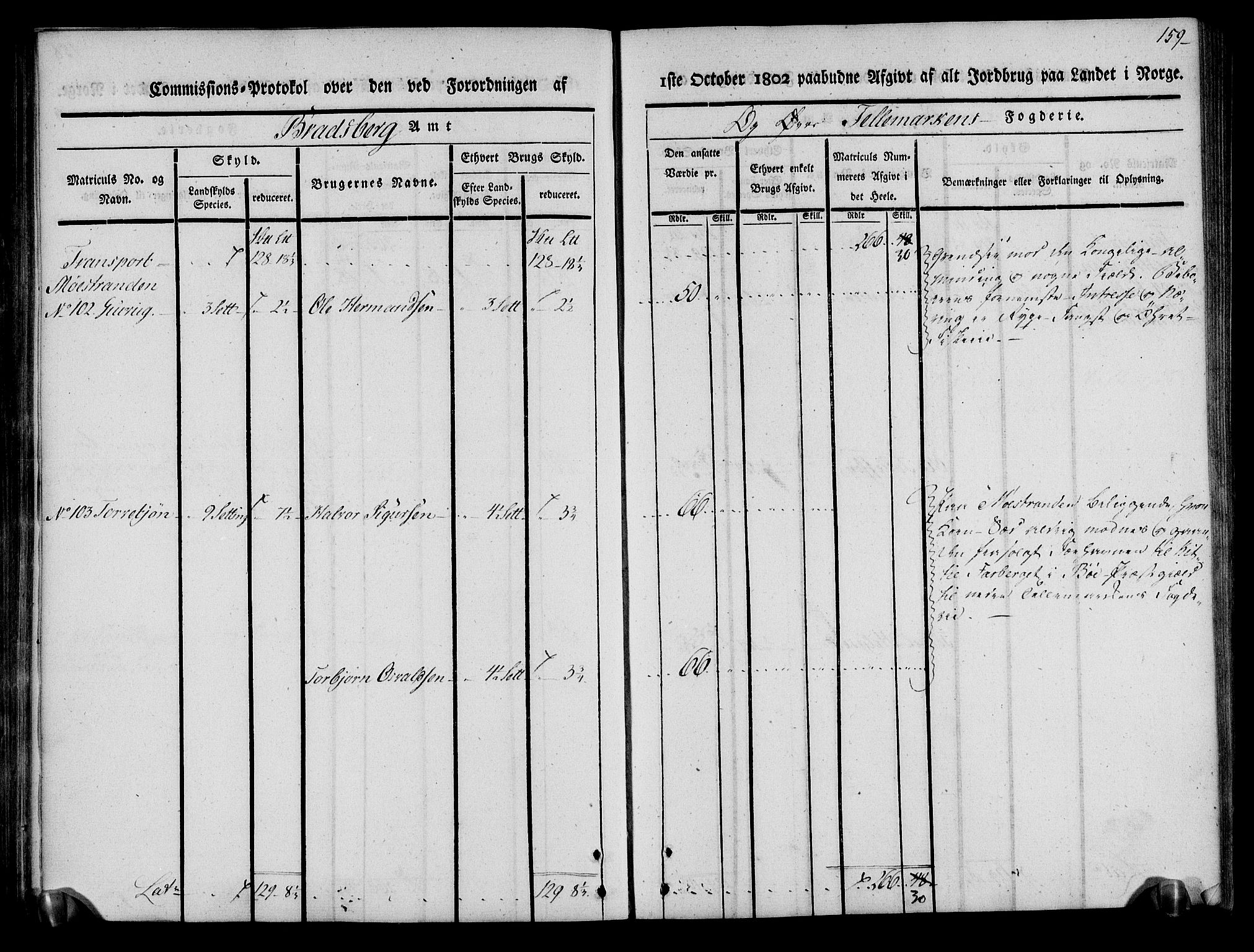 Rentekammeret inntil 1814, Realistisk ordnet avdeling, AV/RA-EA-4070/N/Ne/Nea/L0075: Øvre Telemarken fogderi. Kommisjonsprotokoll for fogderiets vestre del - Kviteseid, Vinje, Moland [):Fyresdal] og Lårdal prestegjeld., 1803, p. 161